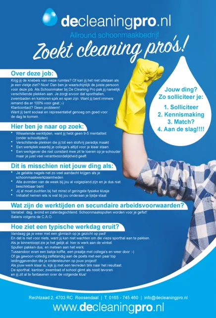 cleaning pro flyer 1