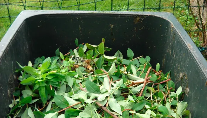 groencontainer