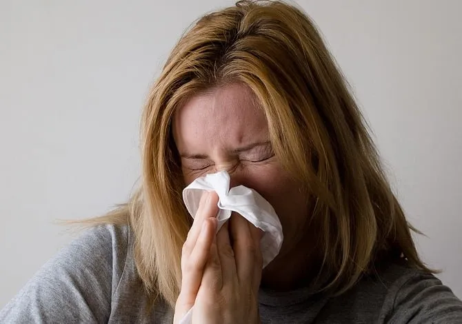 influenza pixabay