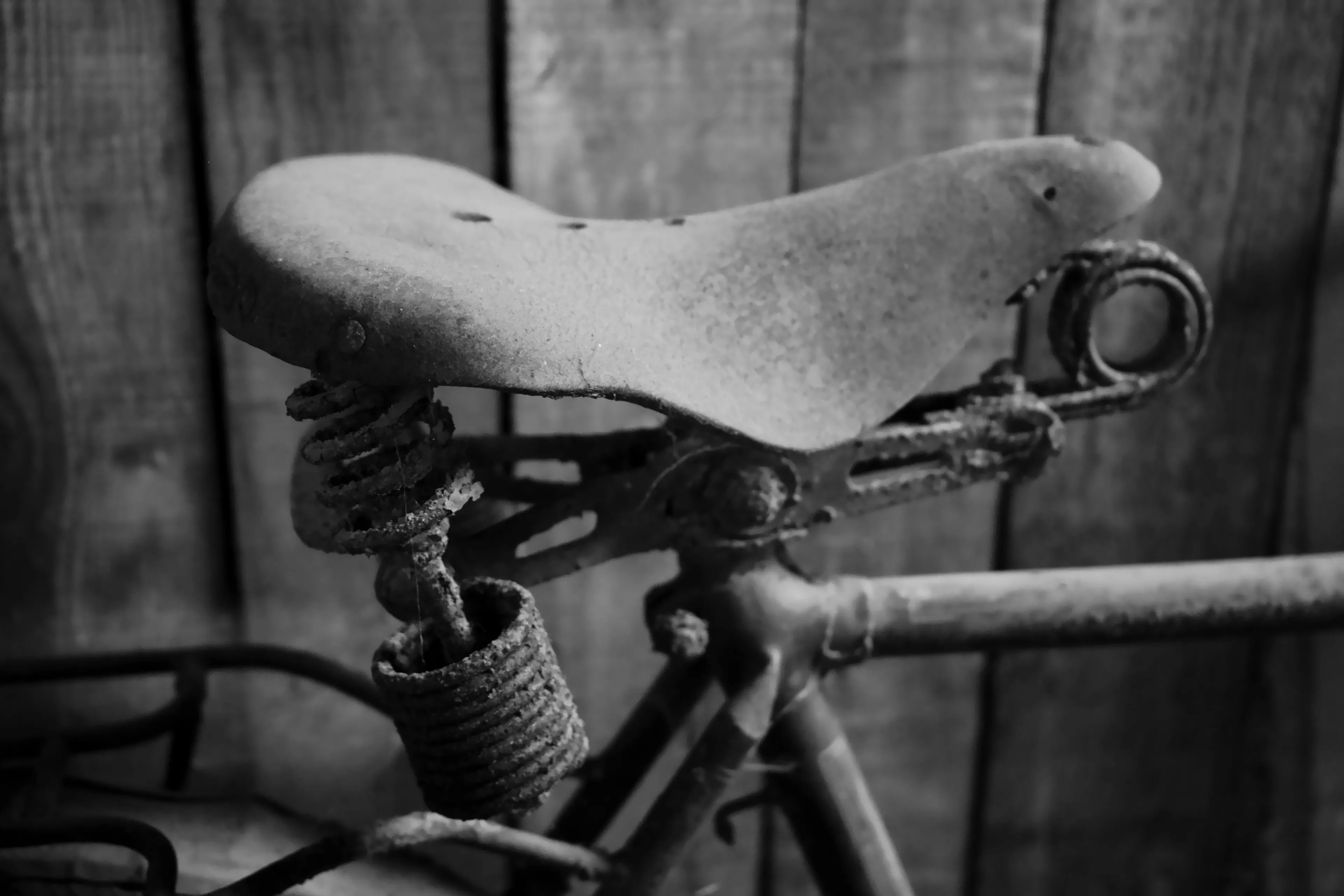 pexels-bizar-van-jan-92378004-33822571