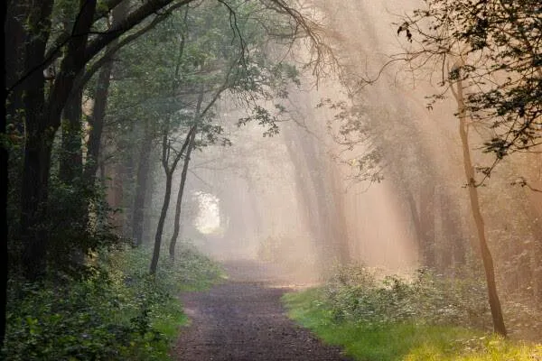 unnamed - 2025-12-11T095206.389