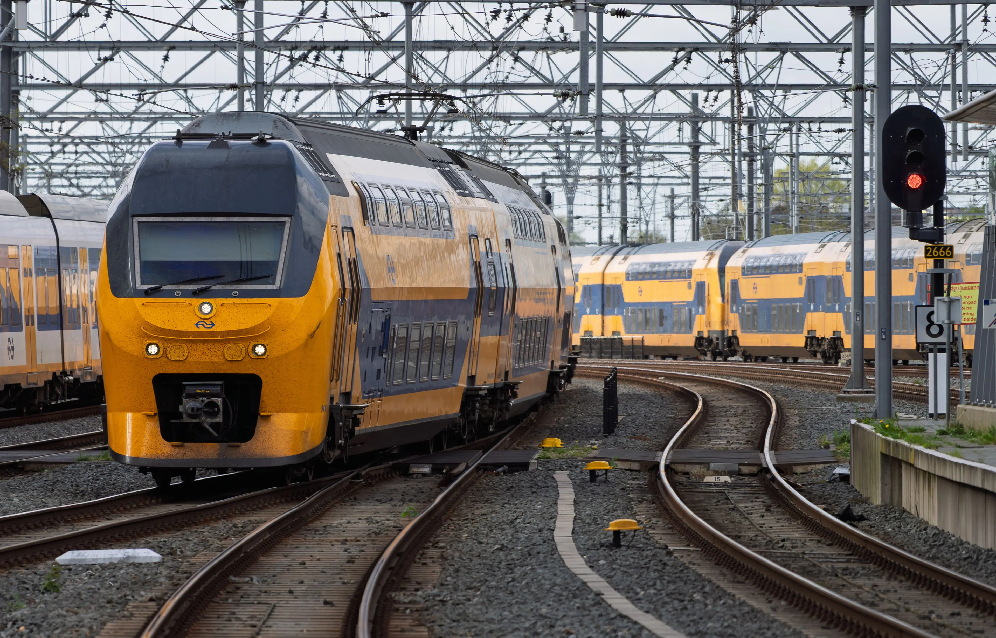 pexels-martijn-stoof-2150654344-37164534