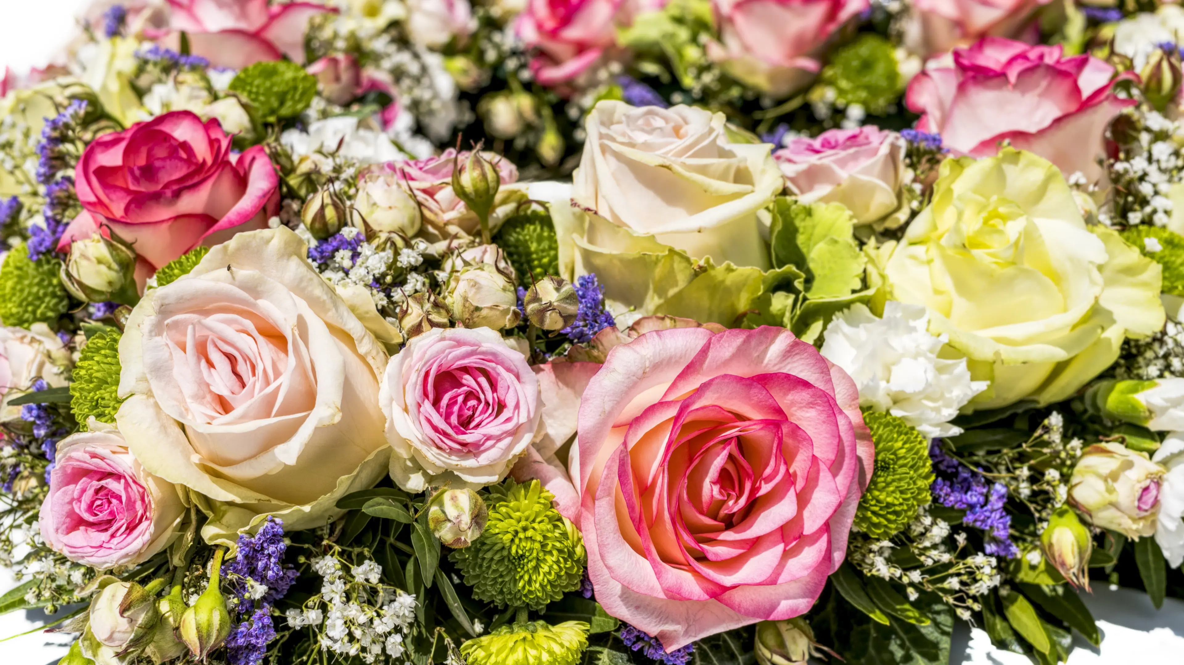 felix mittermeier roses 3441662