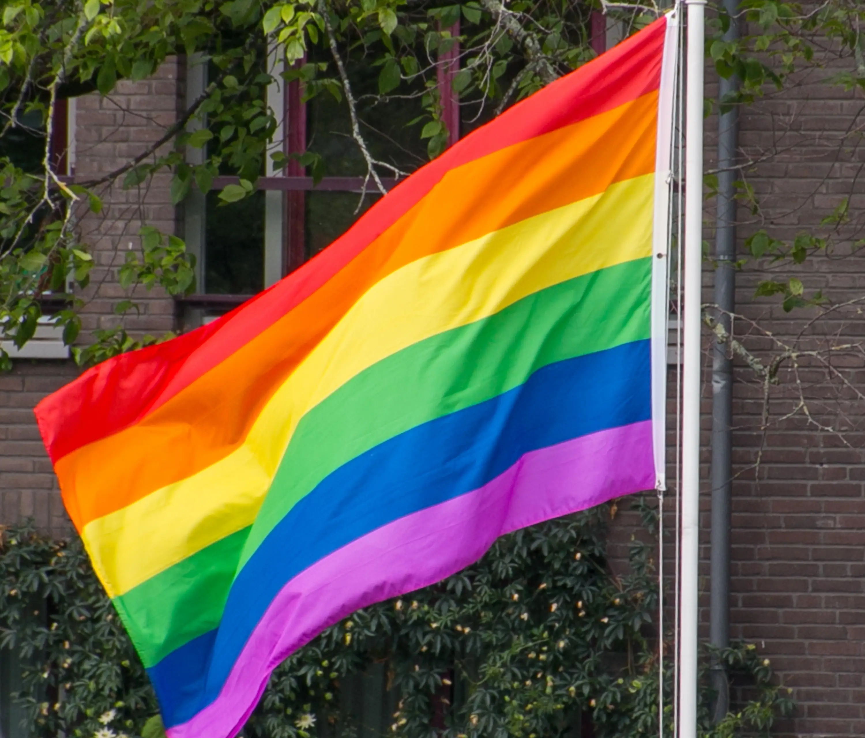 sasel13-pride-flag-4398946