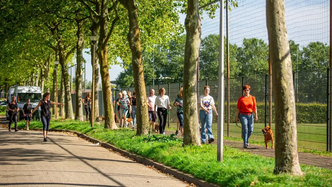 dogtraining patricia blog help mijn hond trekt aan de lijn
