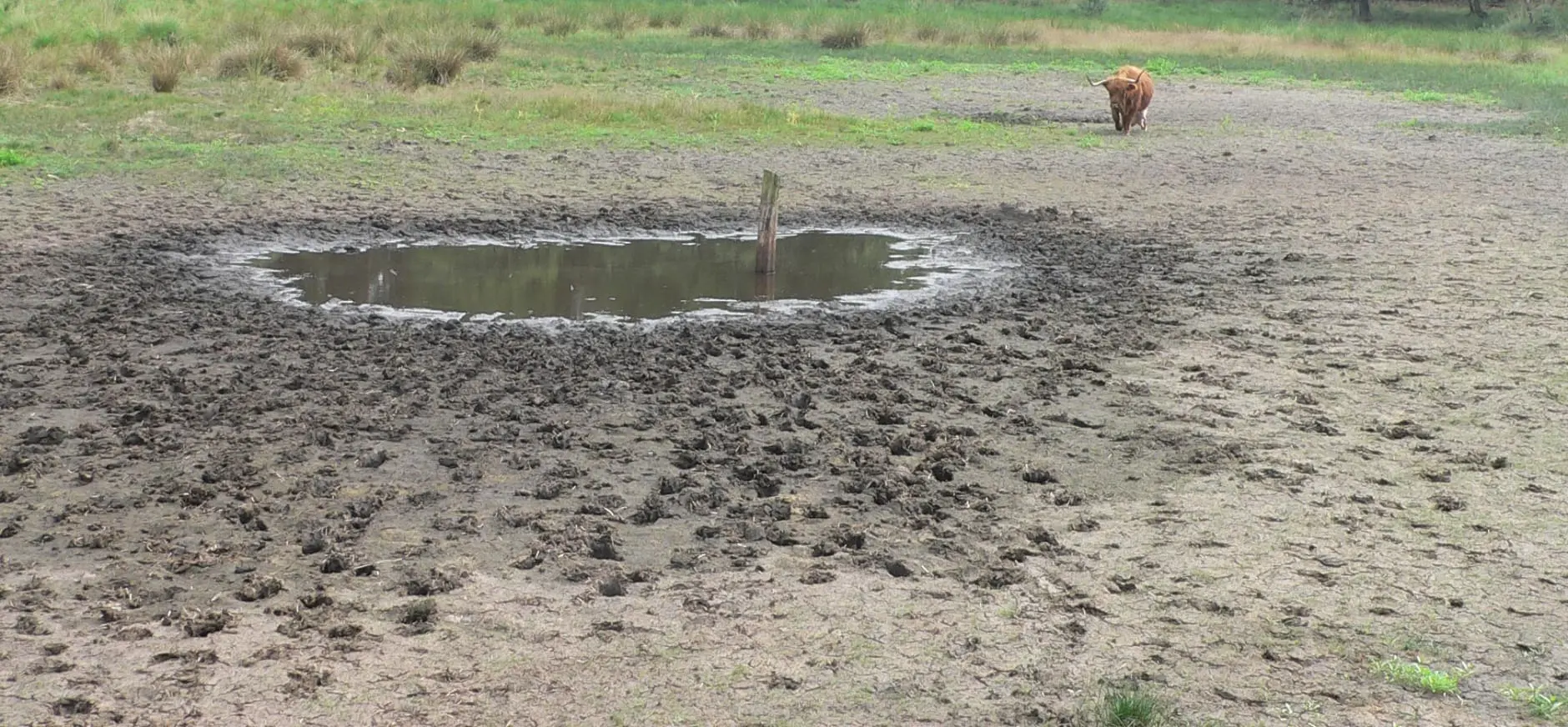 droogte nmrg16606