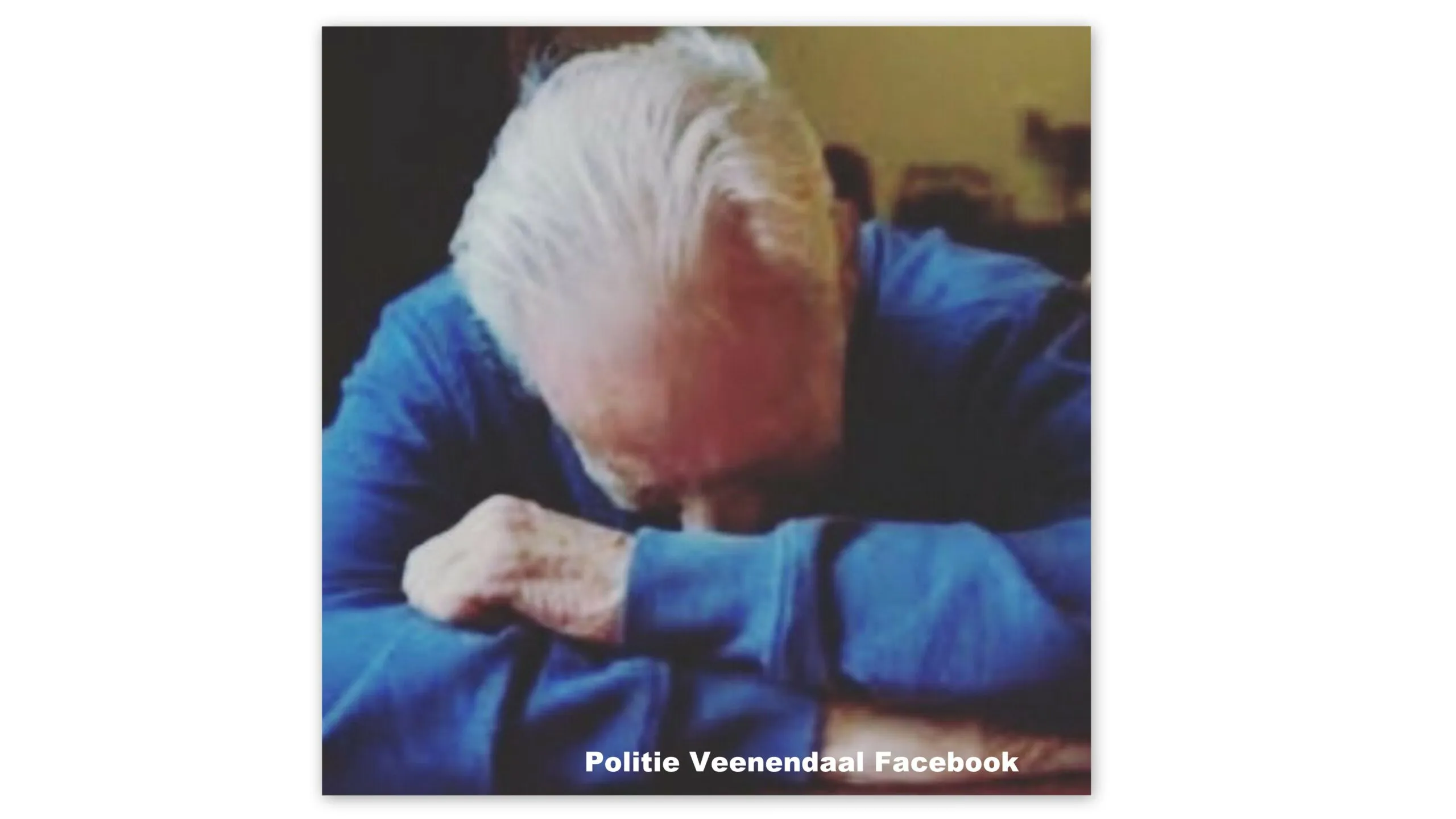 politie veenendaal scaled