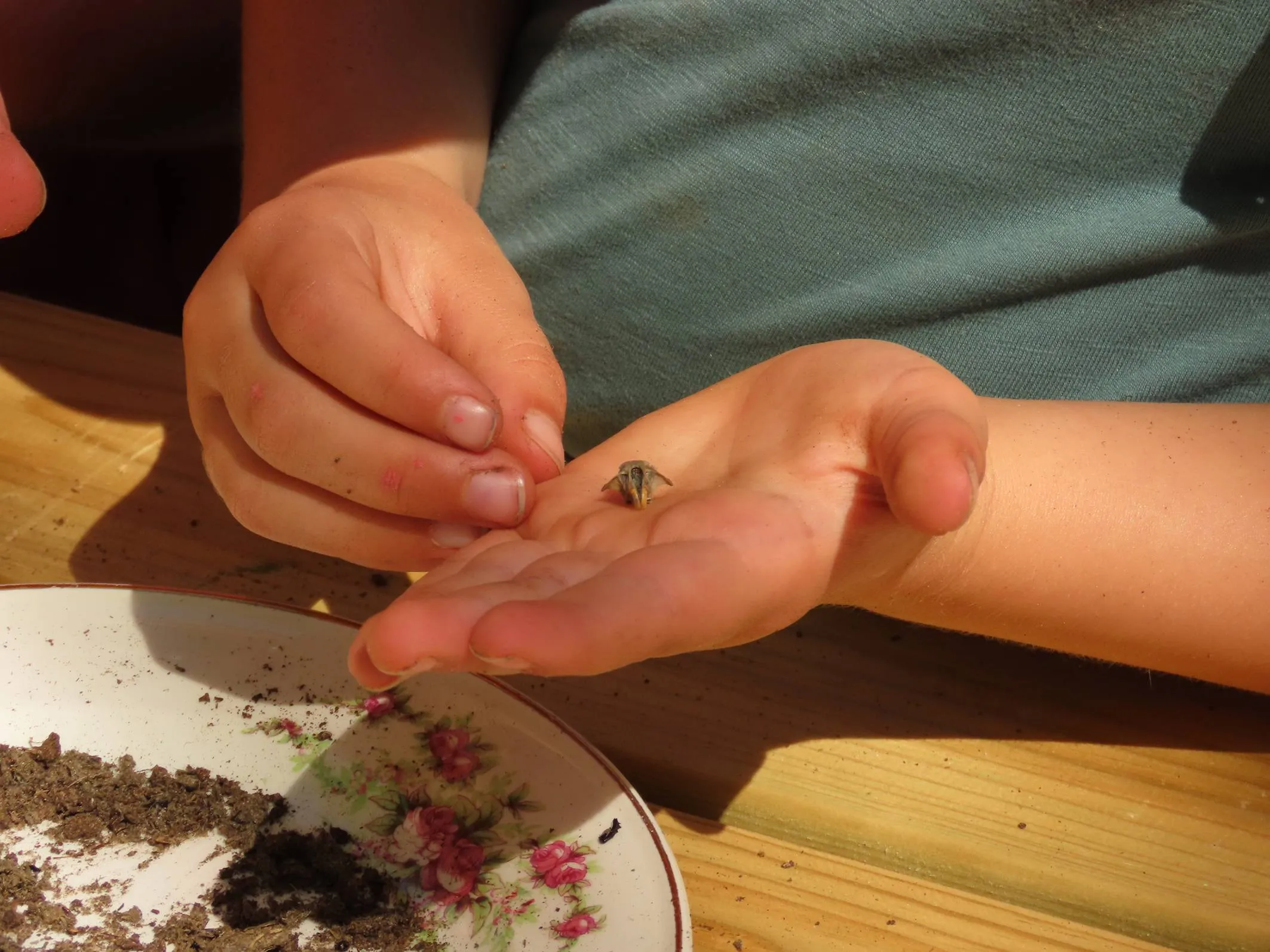 kinderactiviteiten - nc de ginkel 300dpi