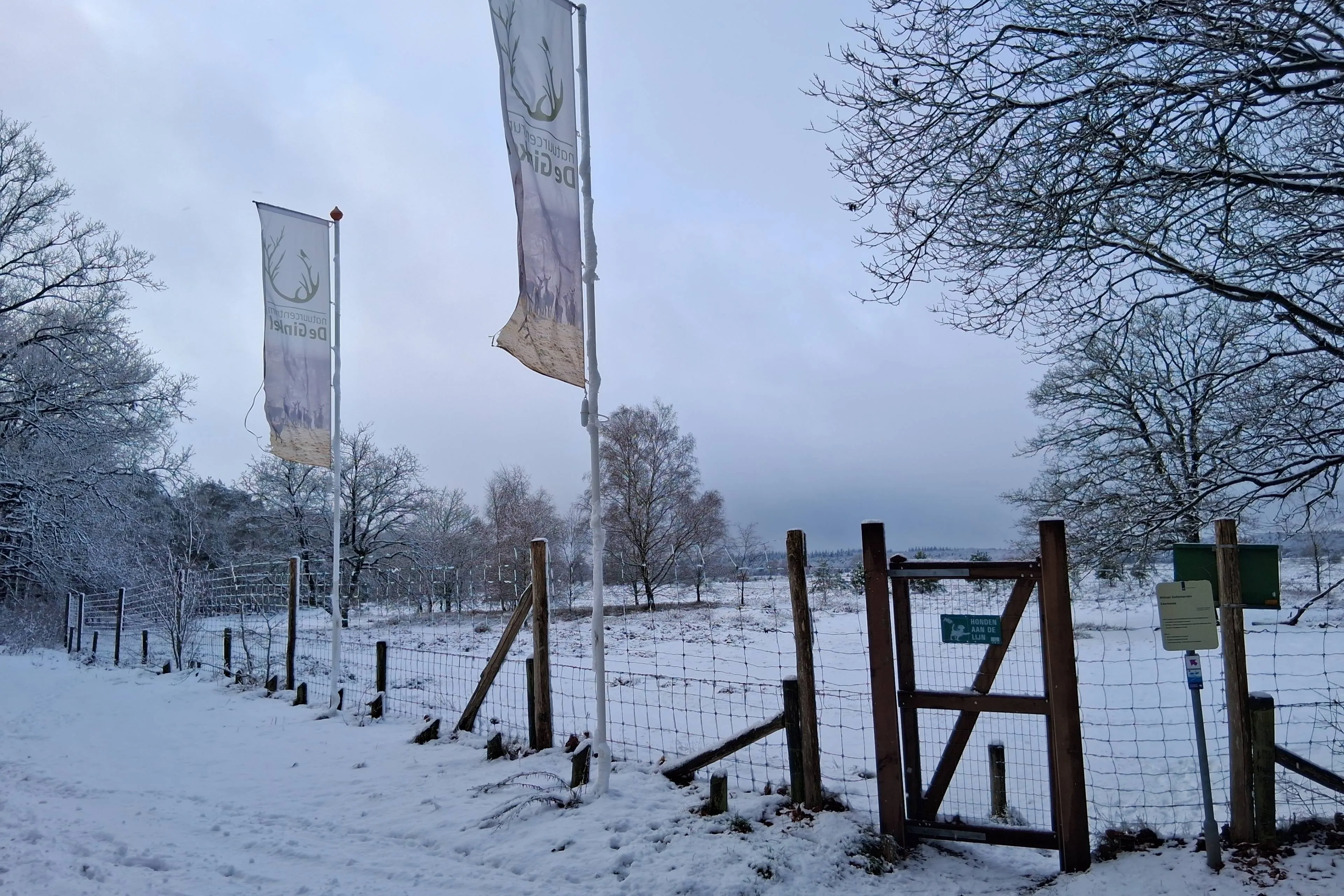 20260103_nc de ginkel sneeuwlandschap