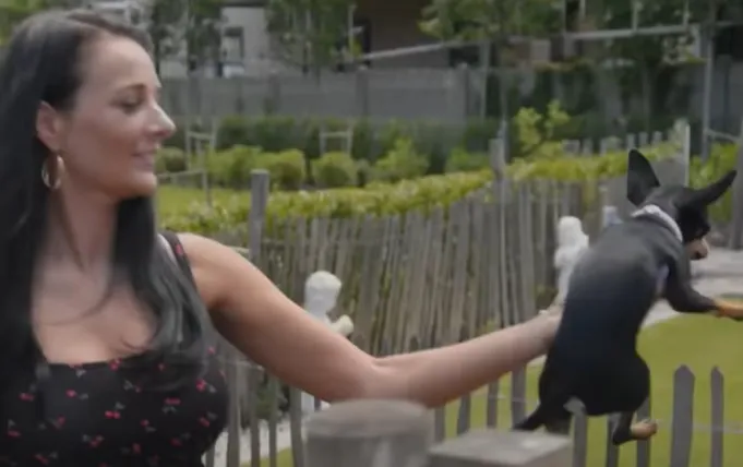Kijkers Massa is Kassa woedend op Nicol: ''Dom wijf''