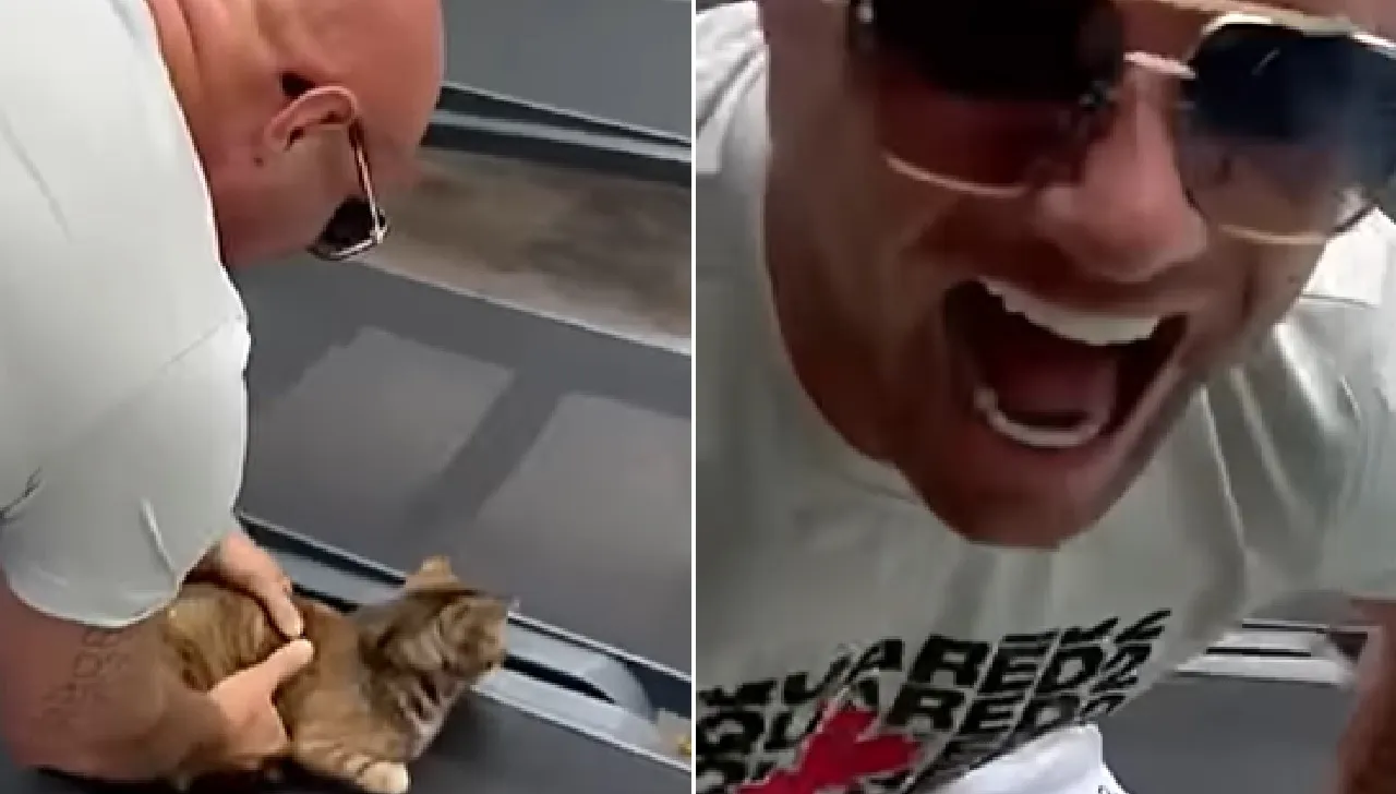 Alex Soze mishandelt kat op vakantie en filmt het