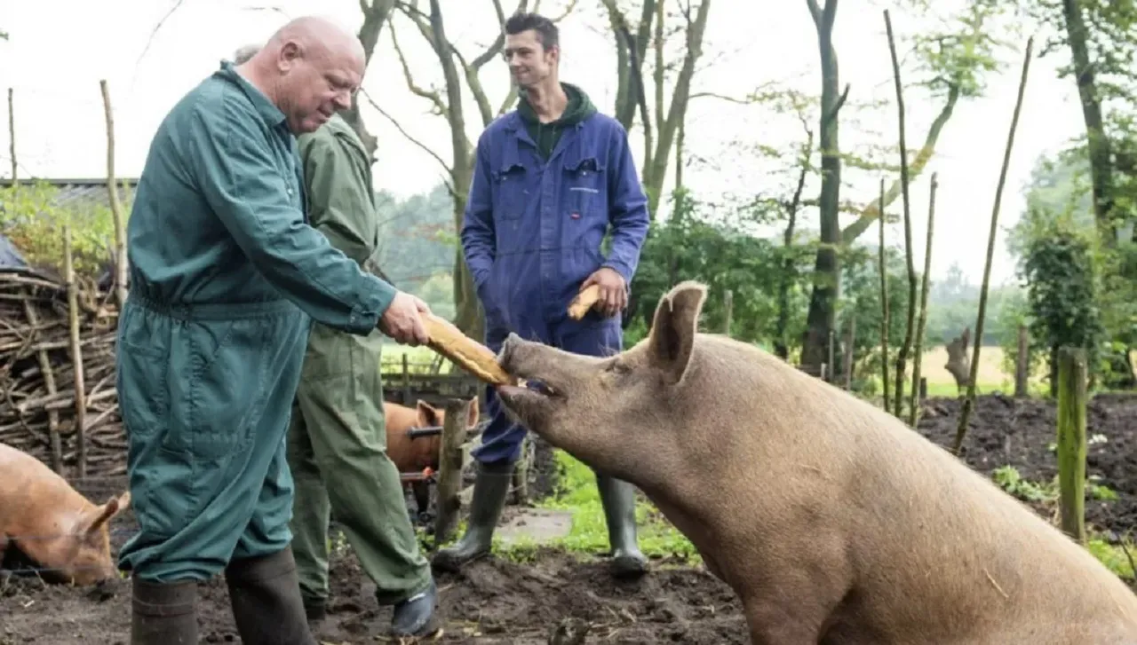 'Wendy en Peter uit elkaar, dramatisch gevolg voor Massa is Kassa'