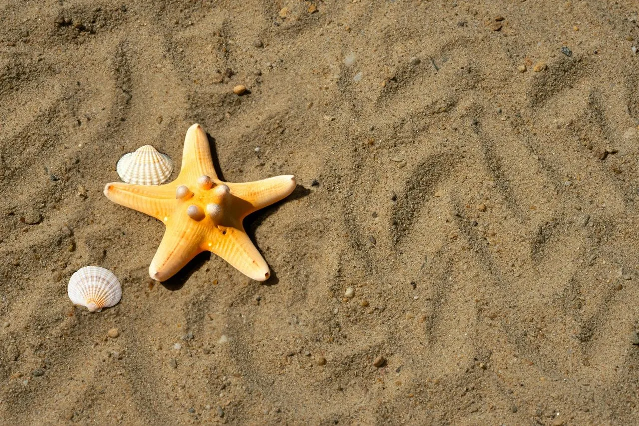 strand1