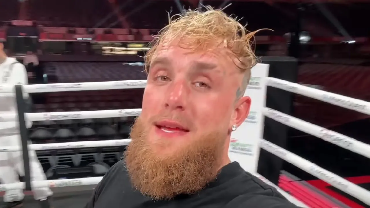 Bokser sloopt Jake Paul: ''Ik geef Jutta de nacht van haar leven''