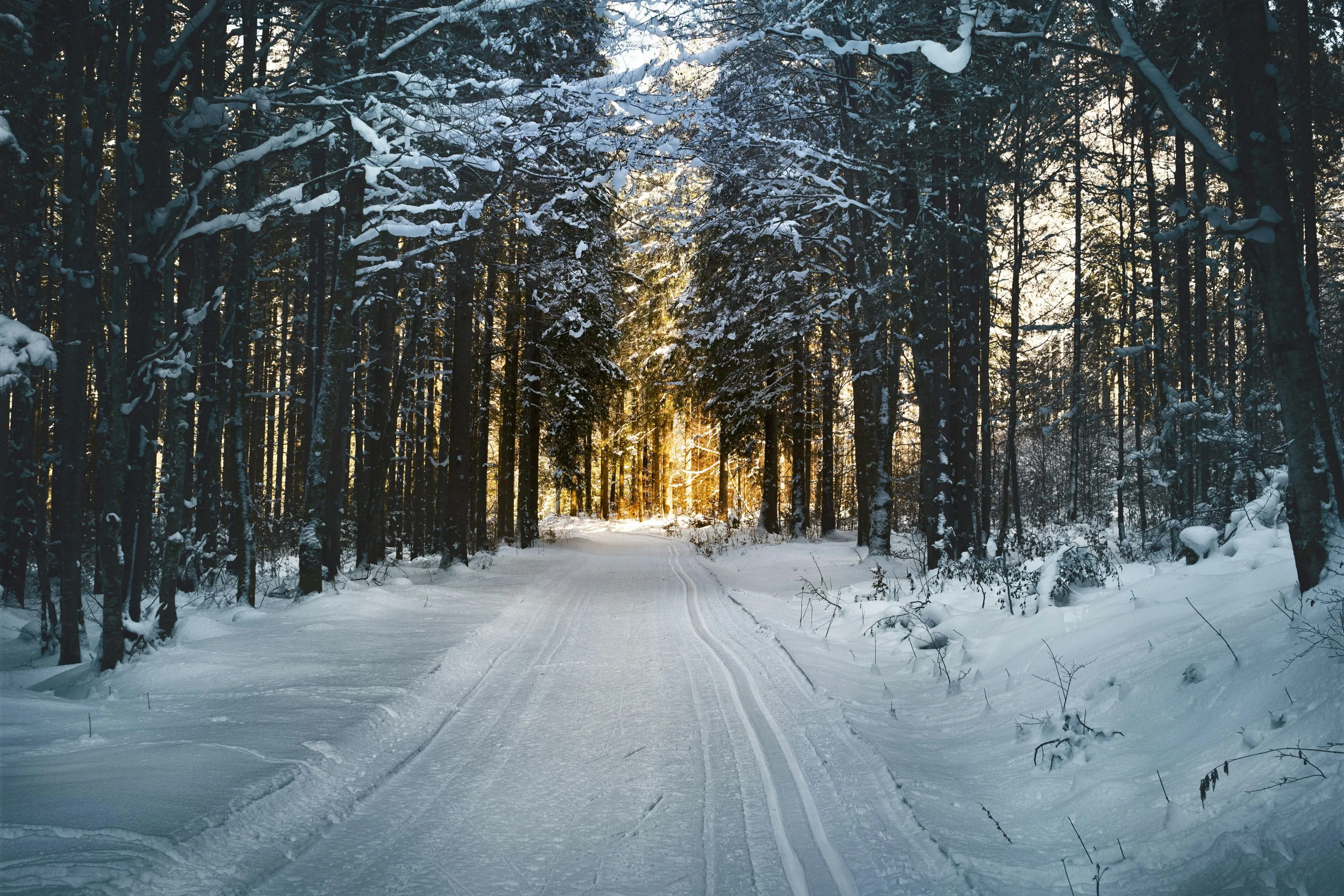 Liefhebbers opgelet: Enorm pak sneeuw in aantocht