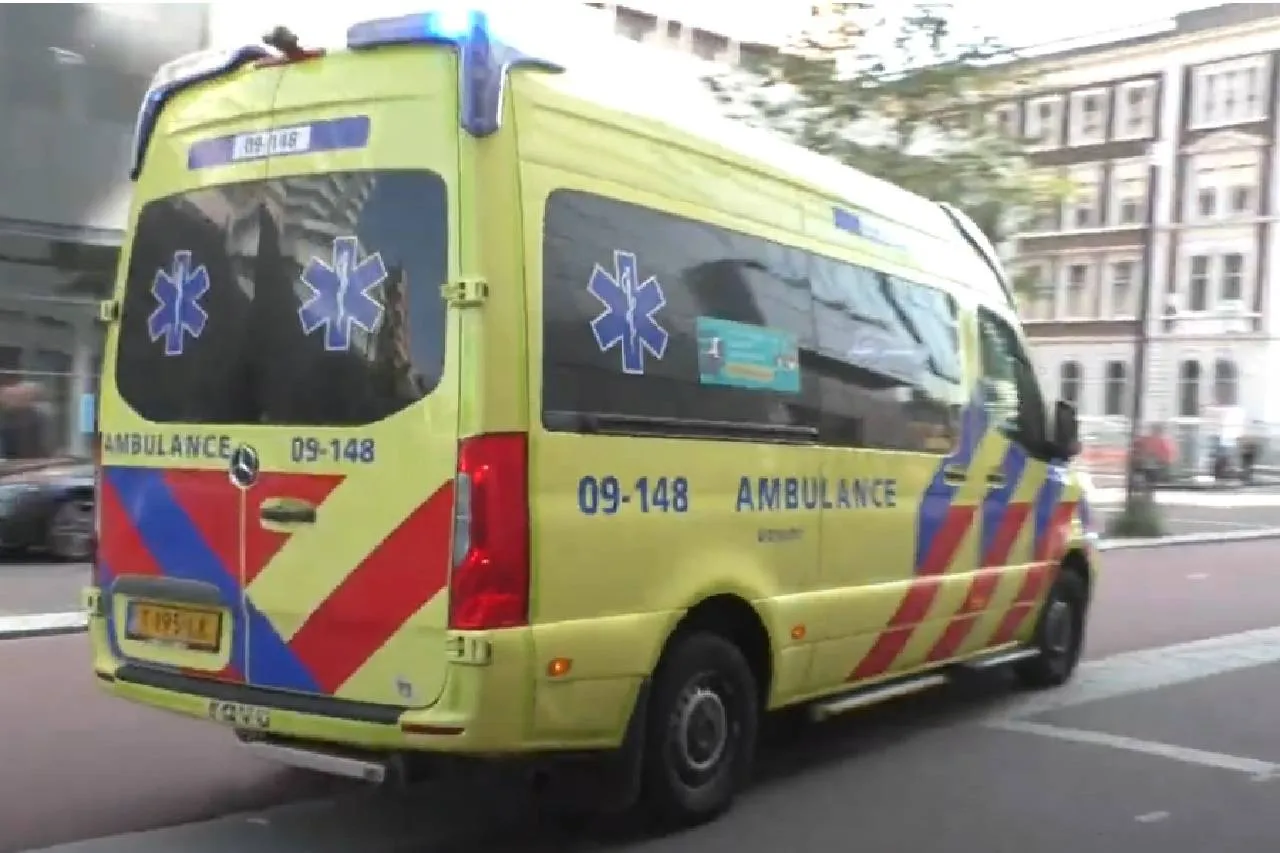 ambu1213
