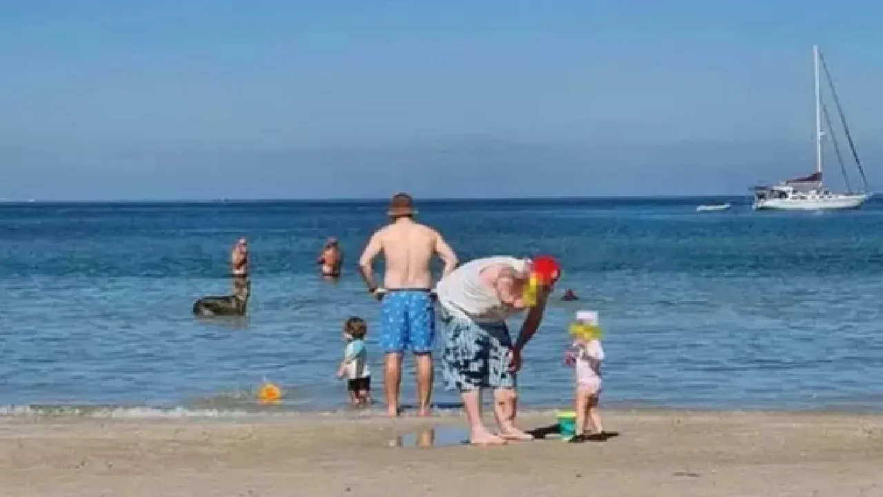 haaitje1
