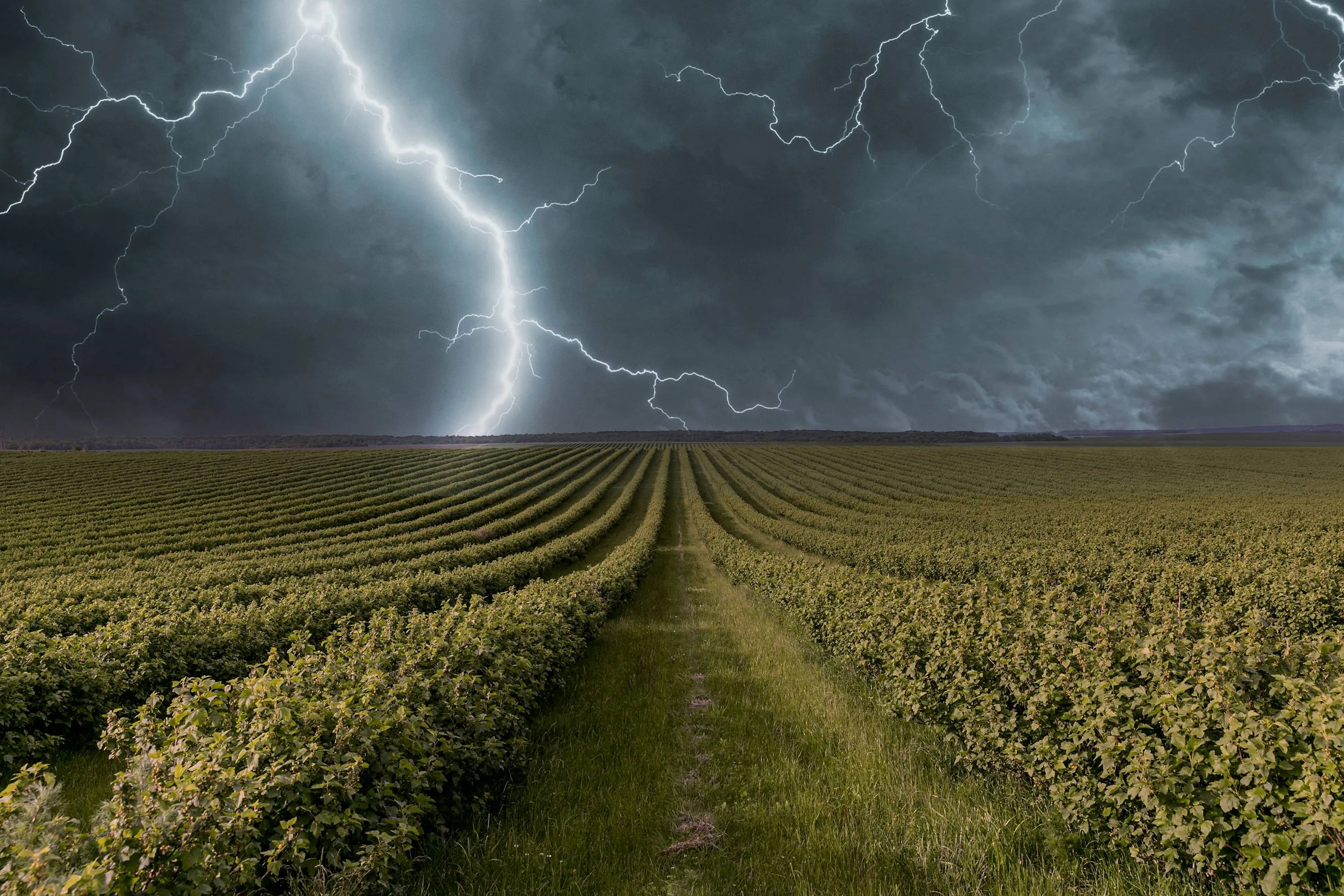 weather effects collage concept 3