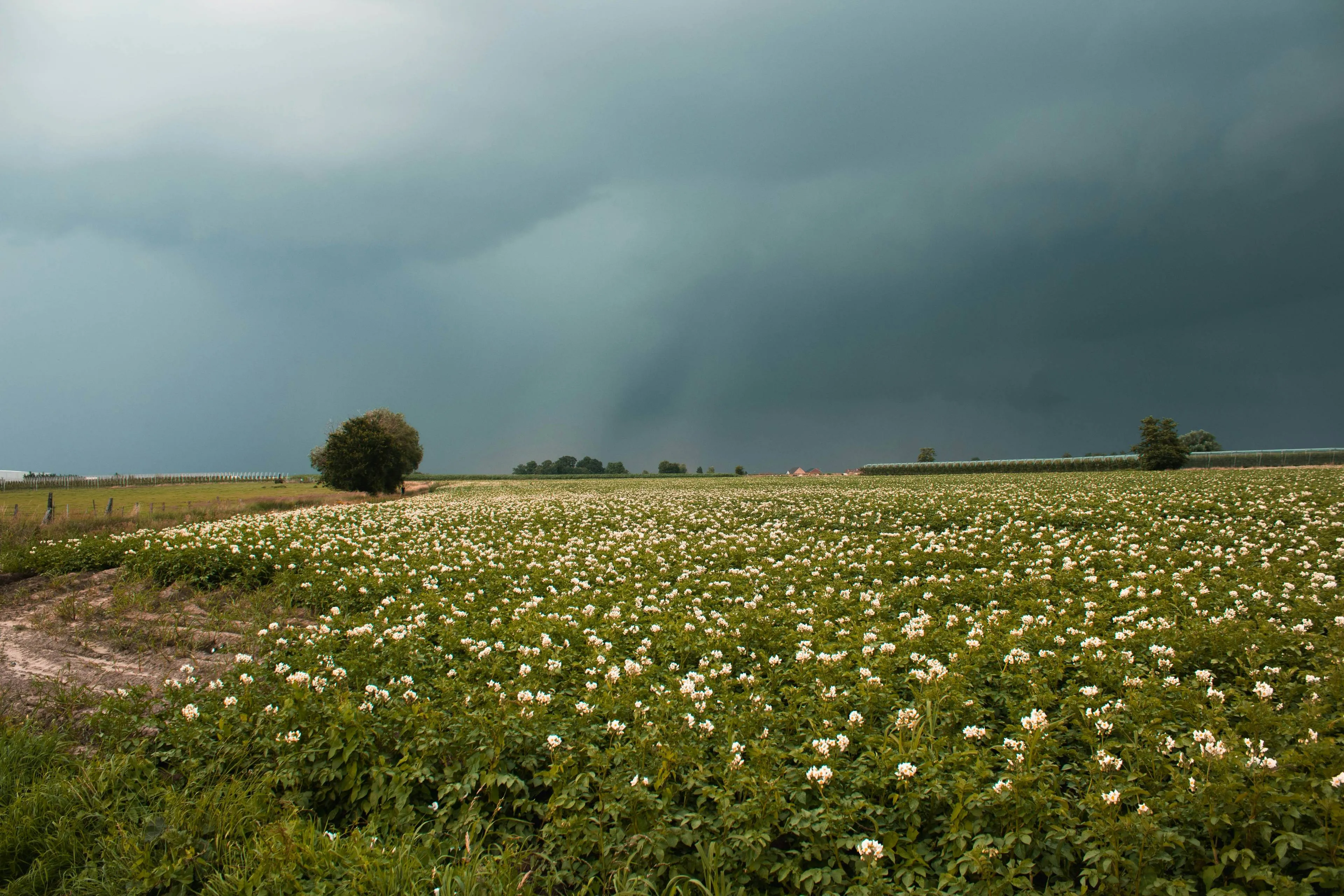 febe vanermen hphpabijyia unsplash