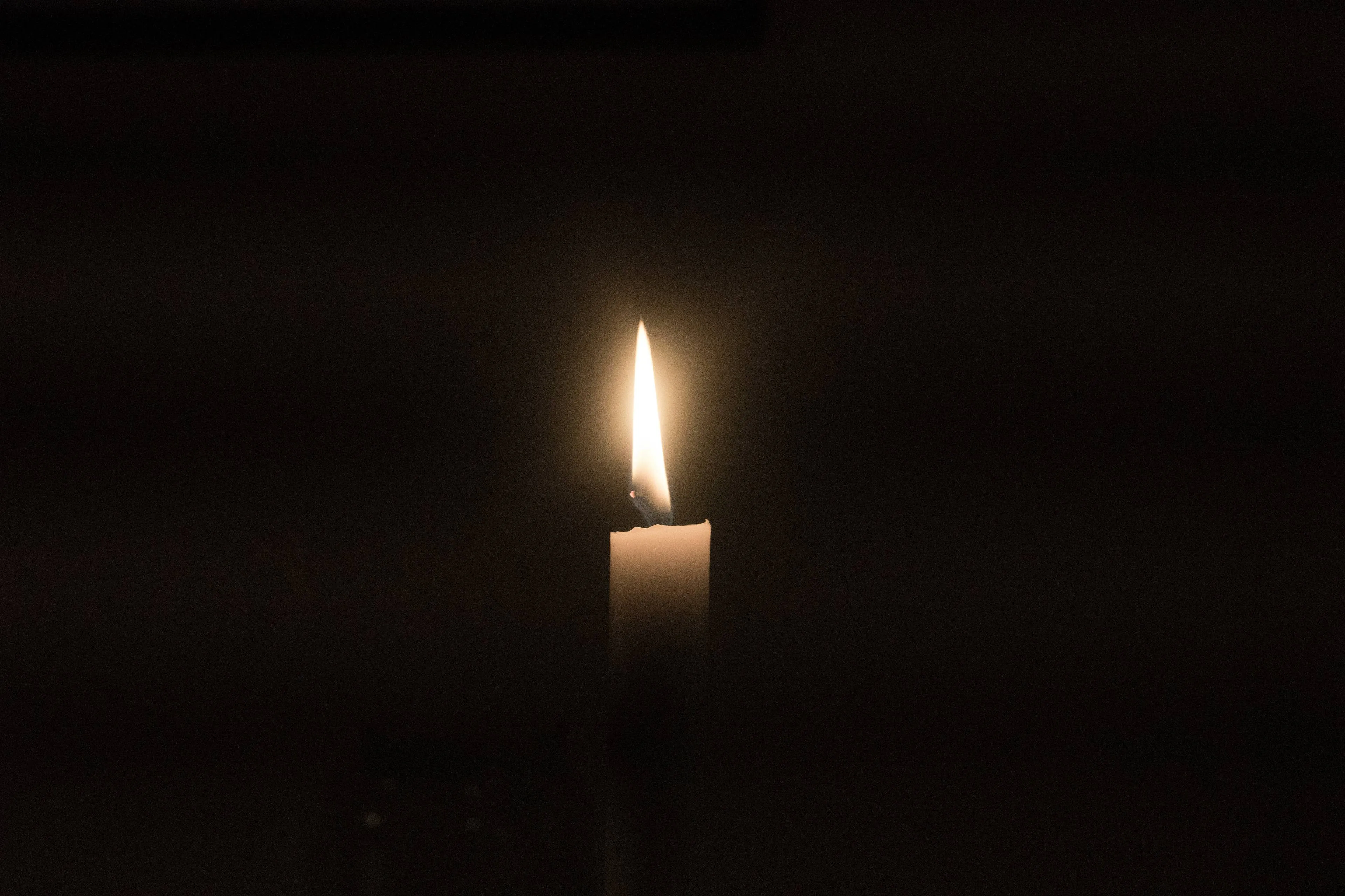 jarl schmidt 8qgfnfc2oai unsplash