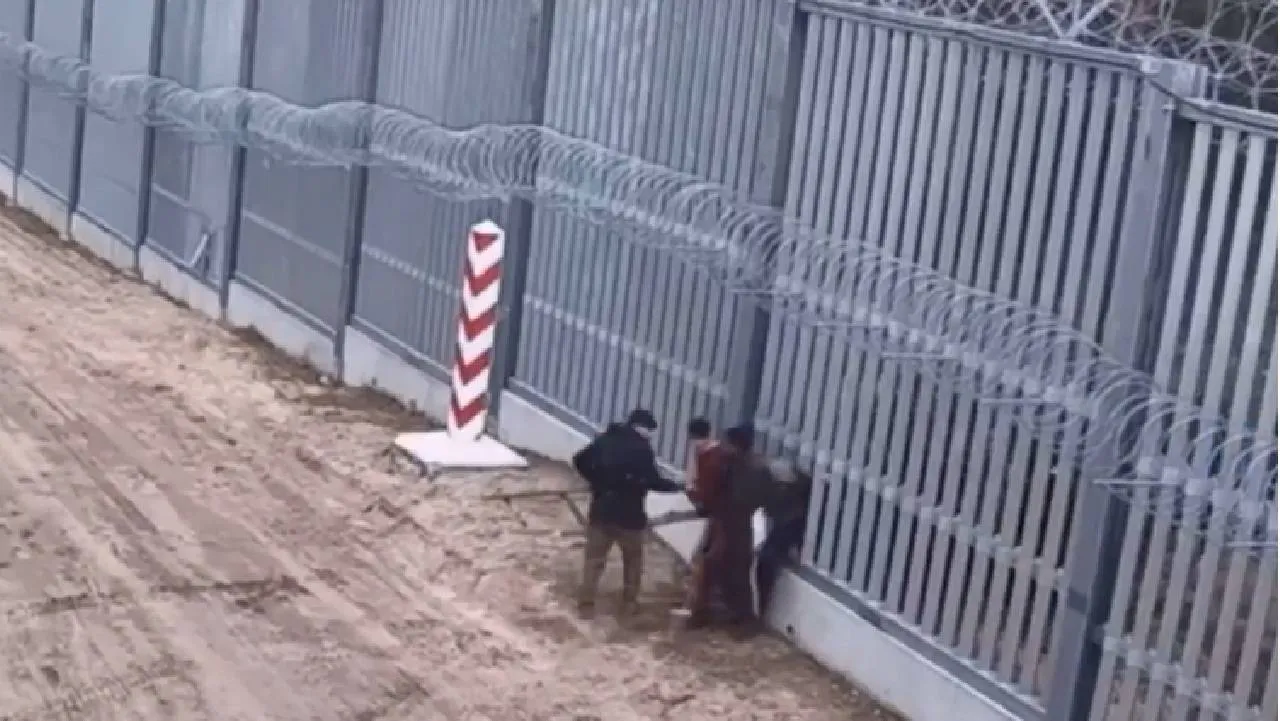 migrnt
