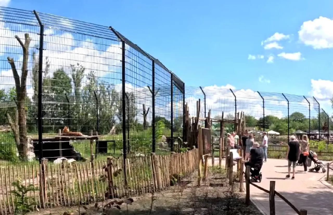 zoo