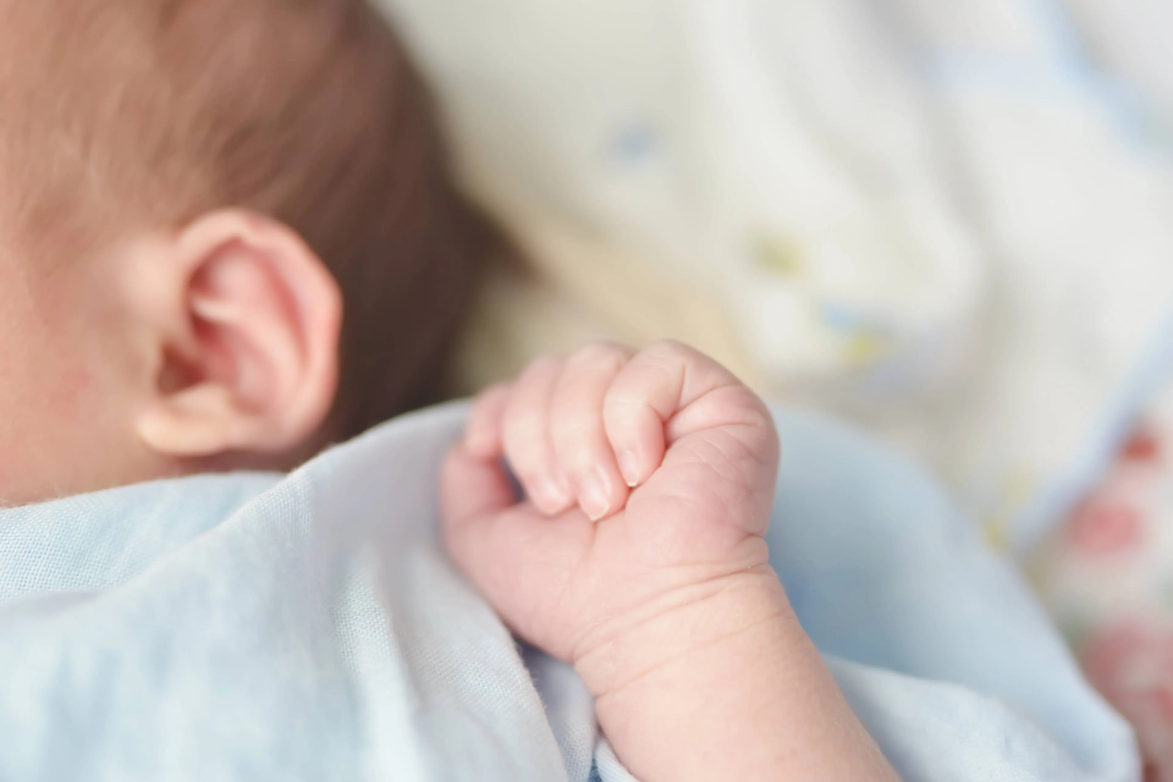baby hands child sucks fists