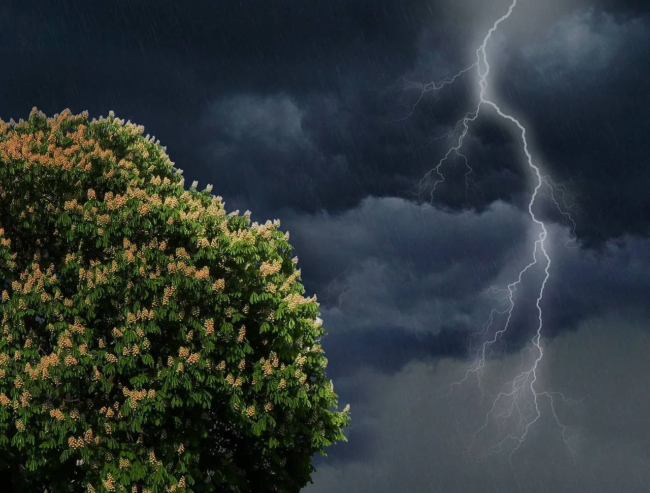 lightning 1941472 1280
