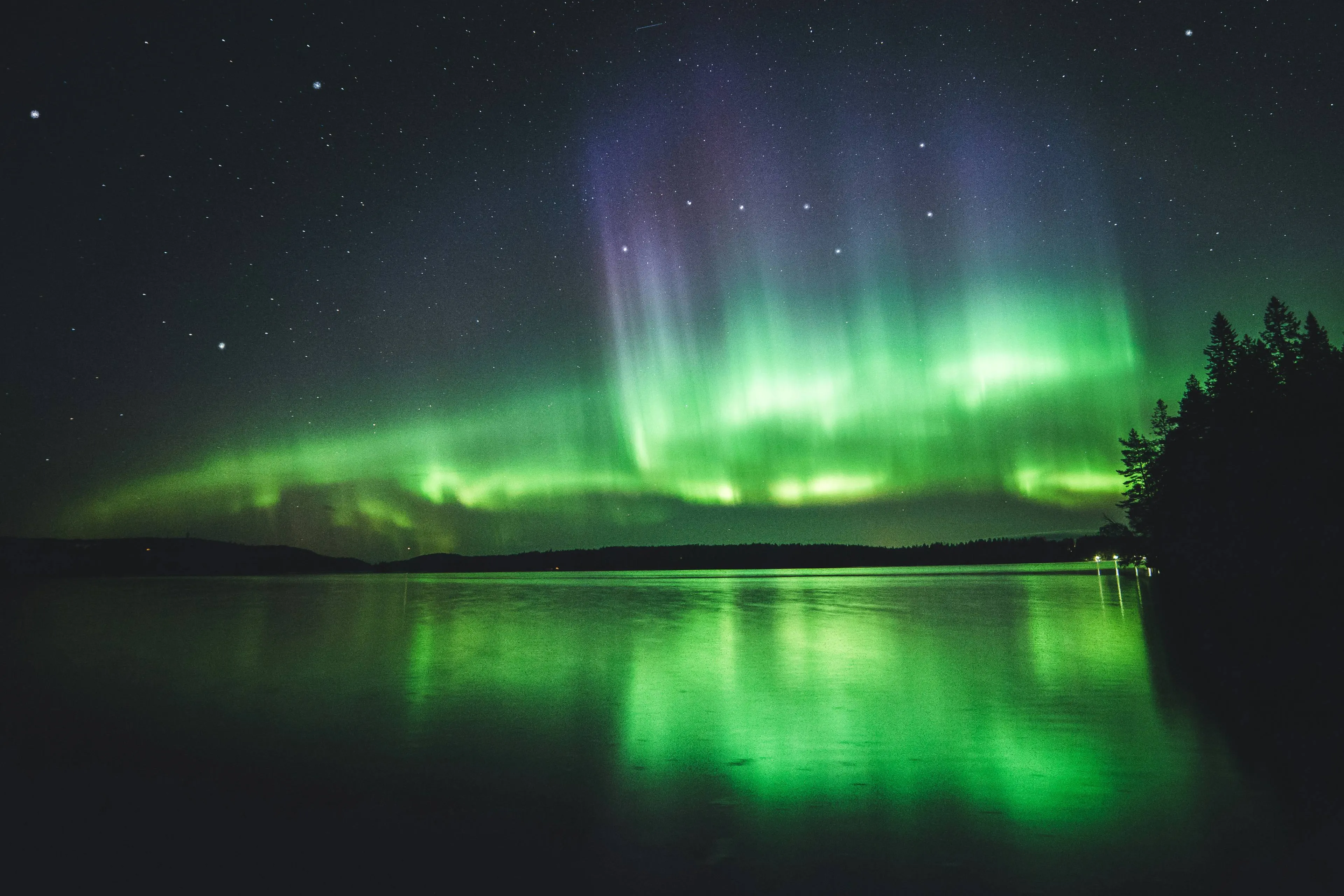 niilo isotalo fdeb6kaviq4 unsplash