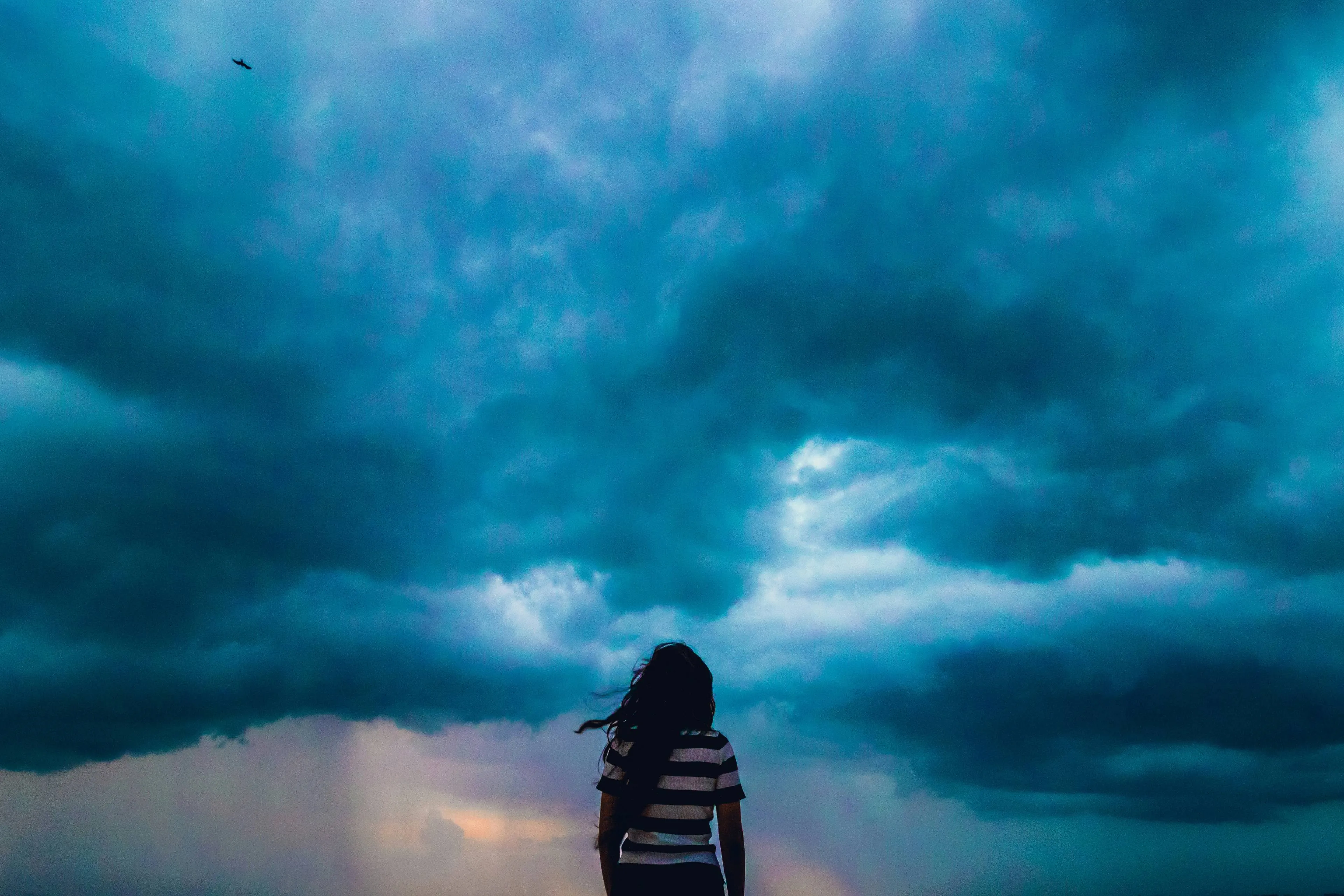 shashank sahay quq2cbfqkiw unsplash