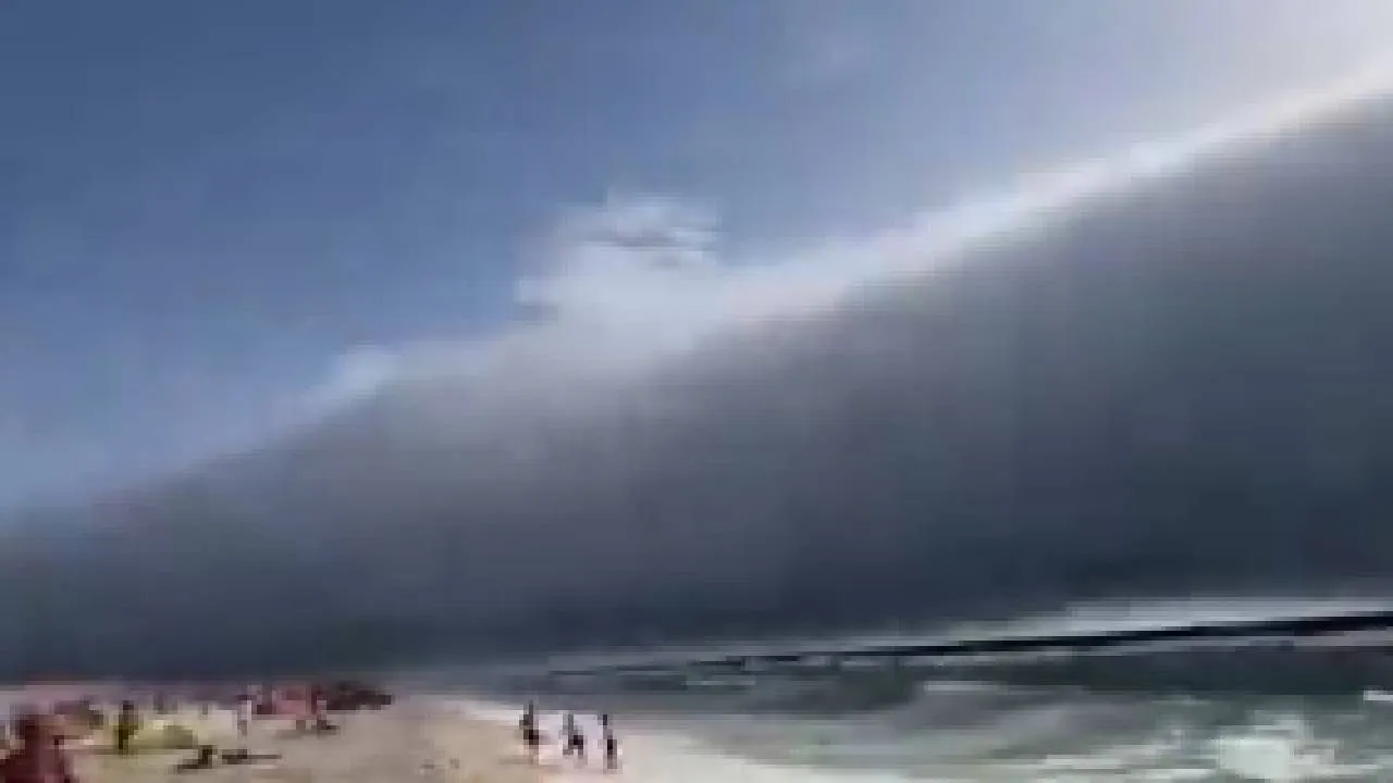 wolk