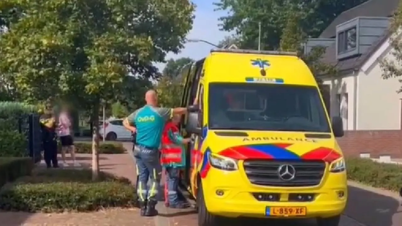 Ambu132