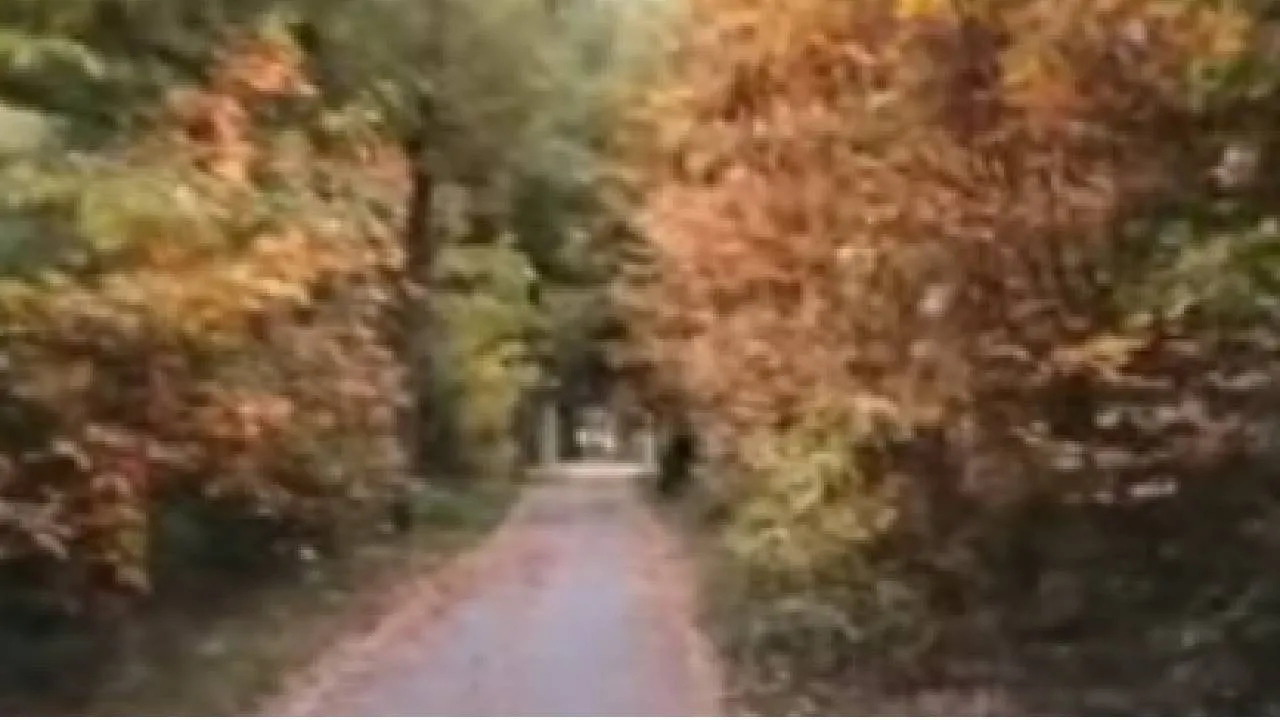Zeist