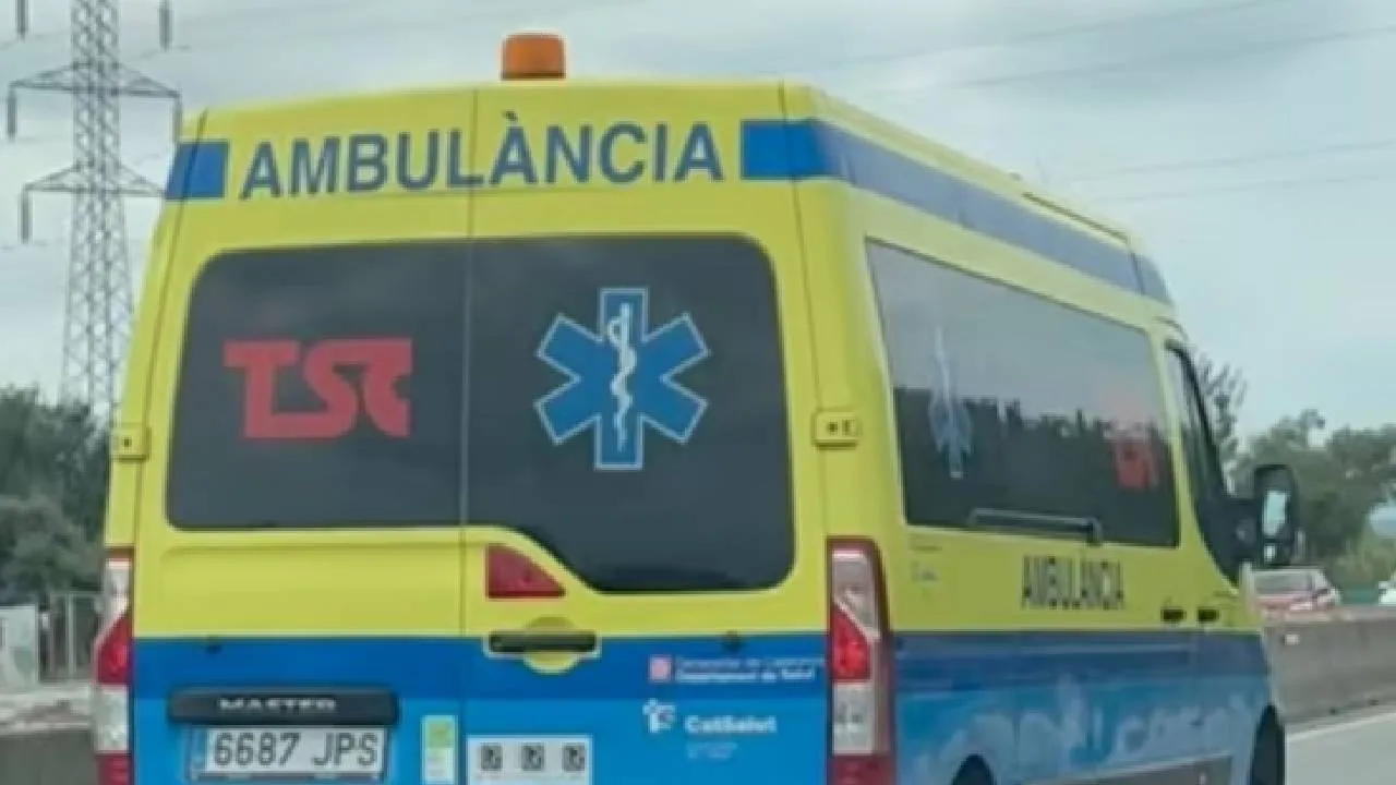 Ambu213