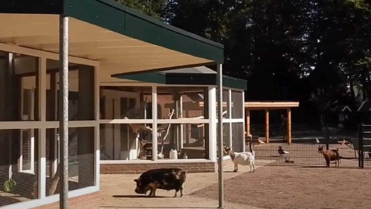 Boerderij