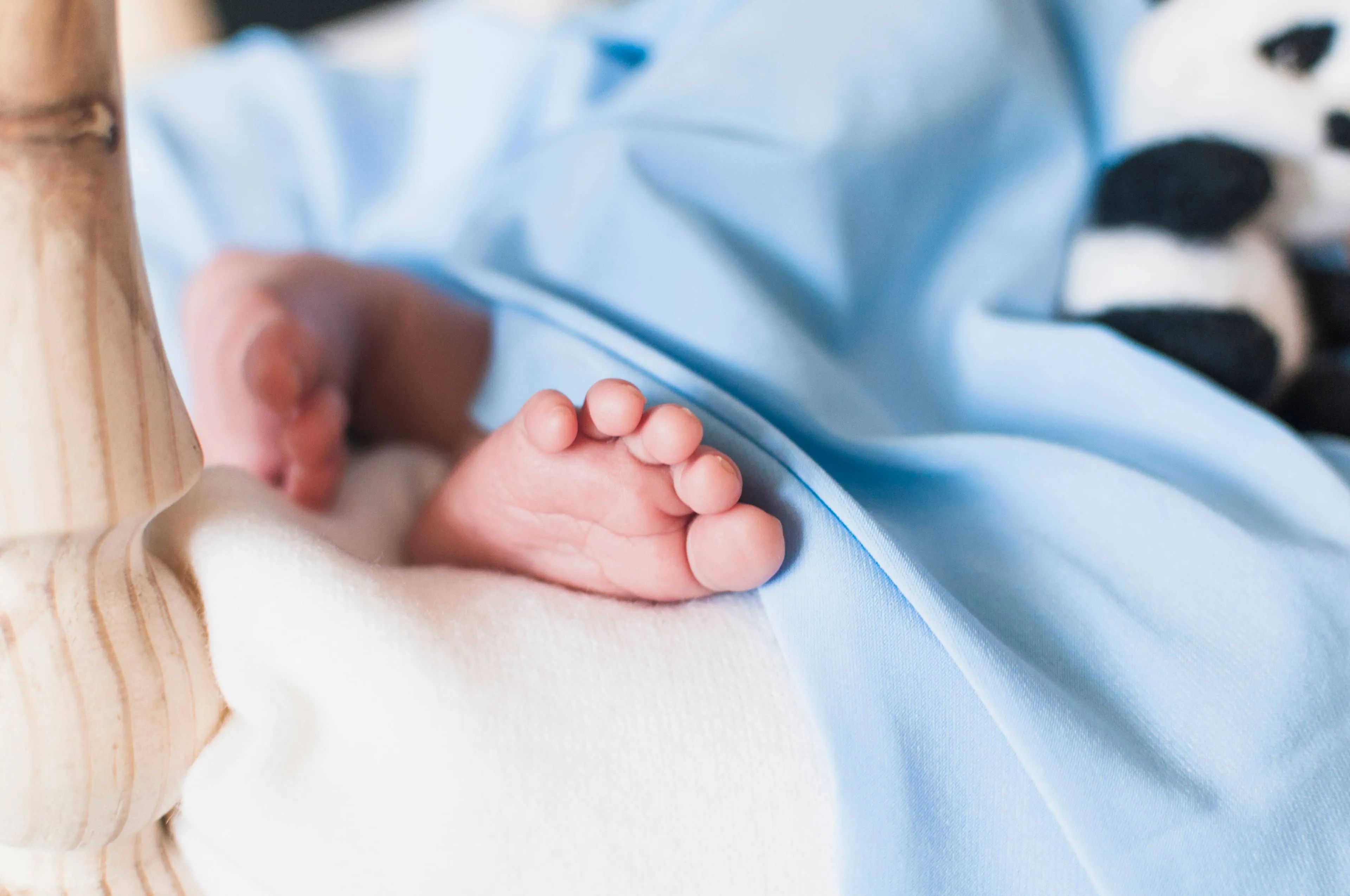 crop-tiny-feet-baby