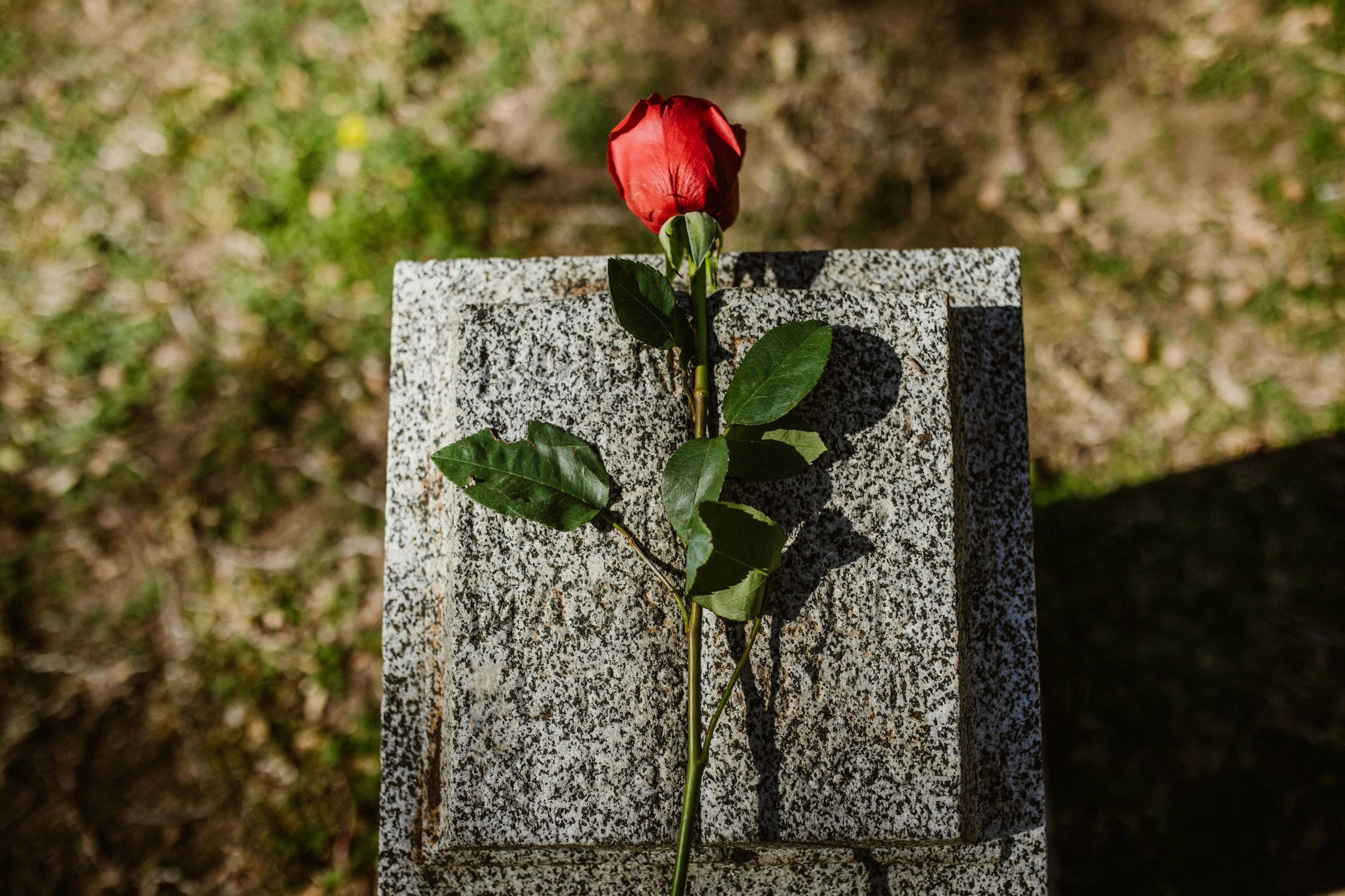 pexels-rdne-6841362