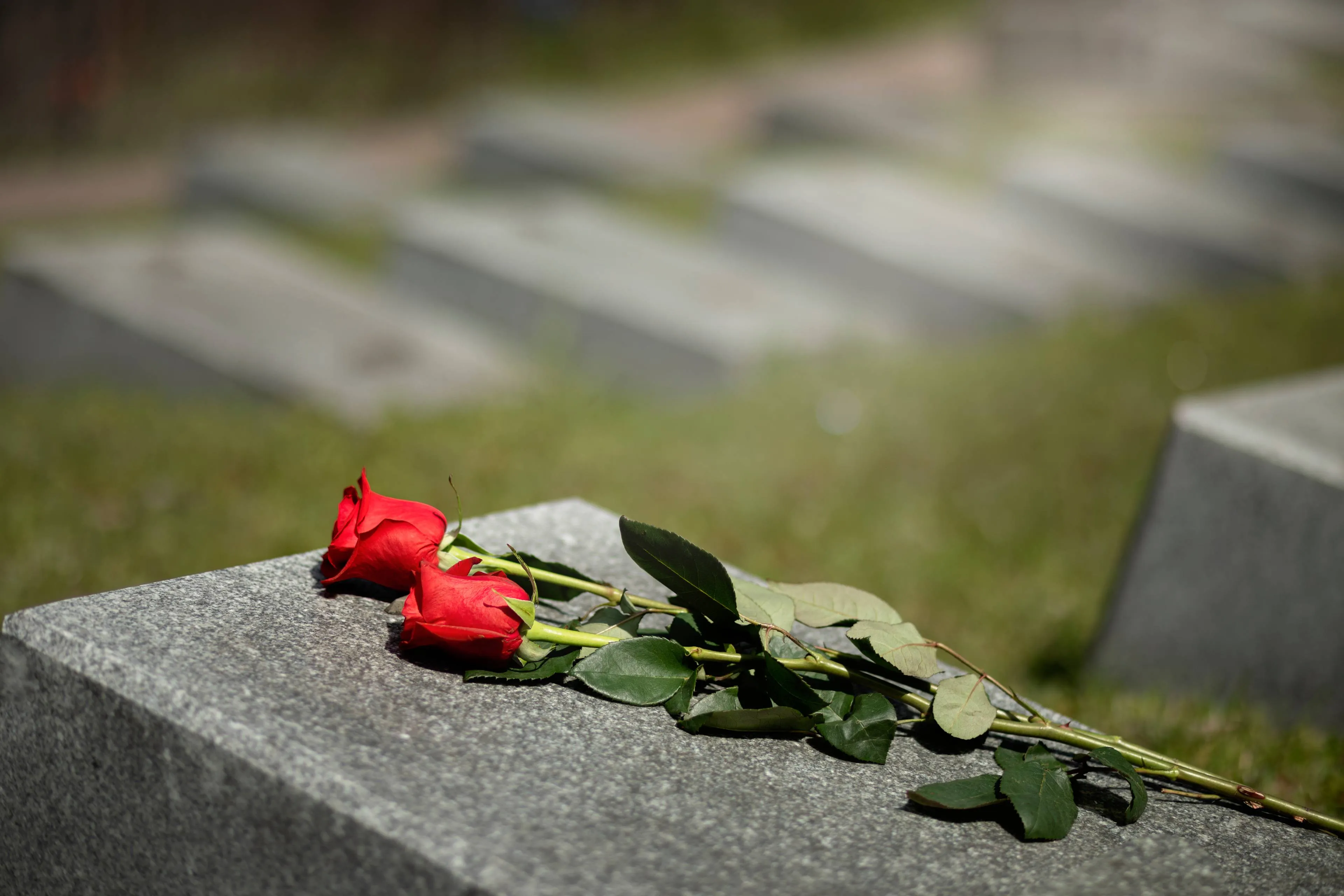 view-gravestone-with-flowers (2)