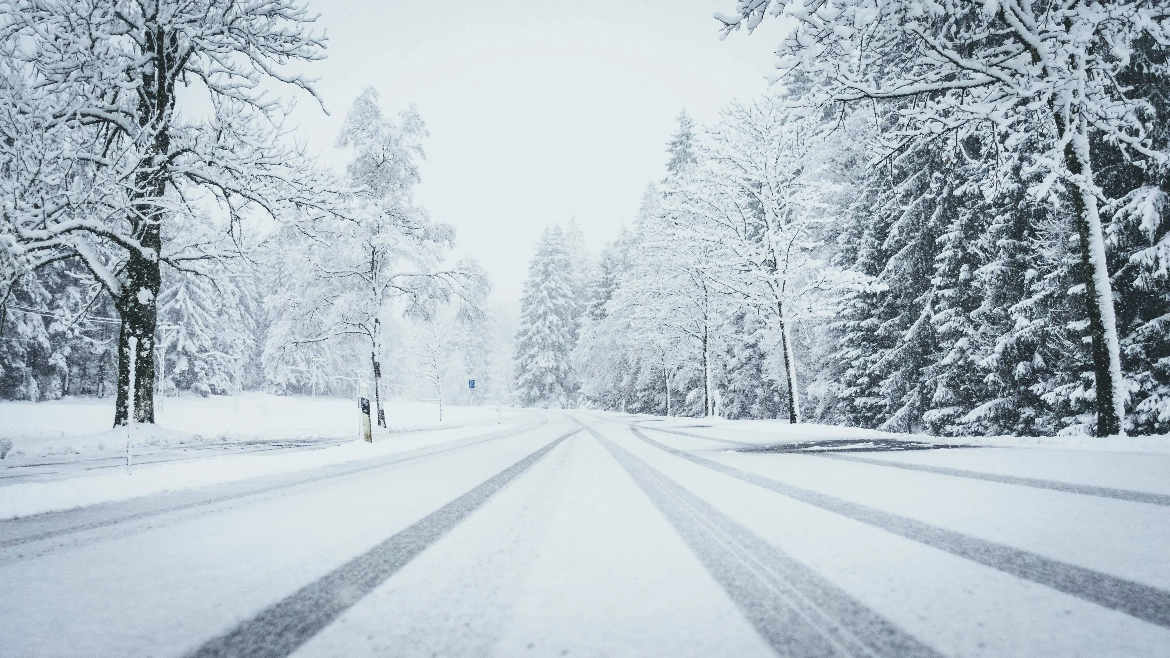 wide-shot-road-fully-covered-by-snow-with-pine-trees-both-sides-car-traces