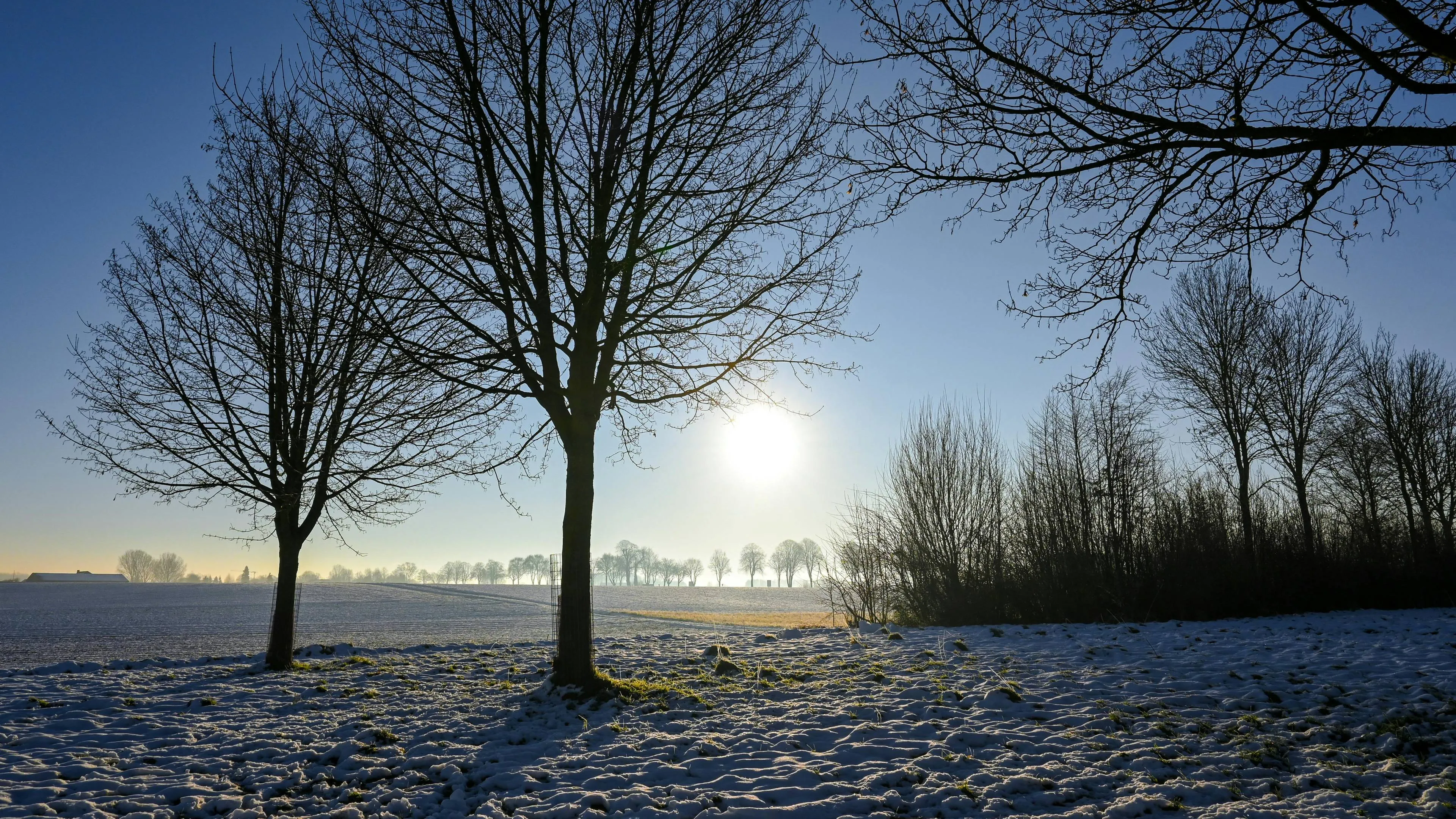 free-photo-of-sunny-winter-landscape-in-sittard-netherlands