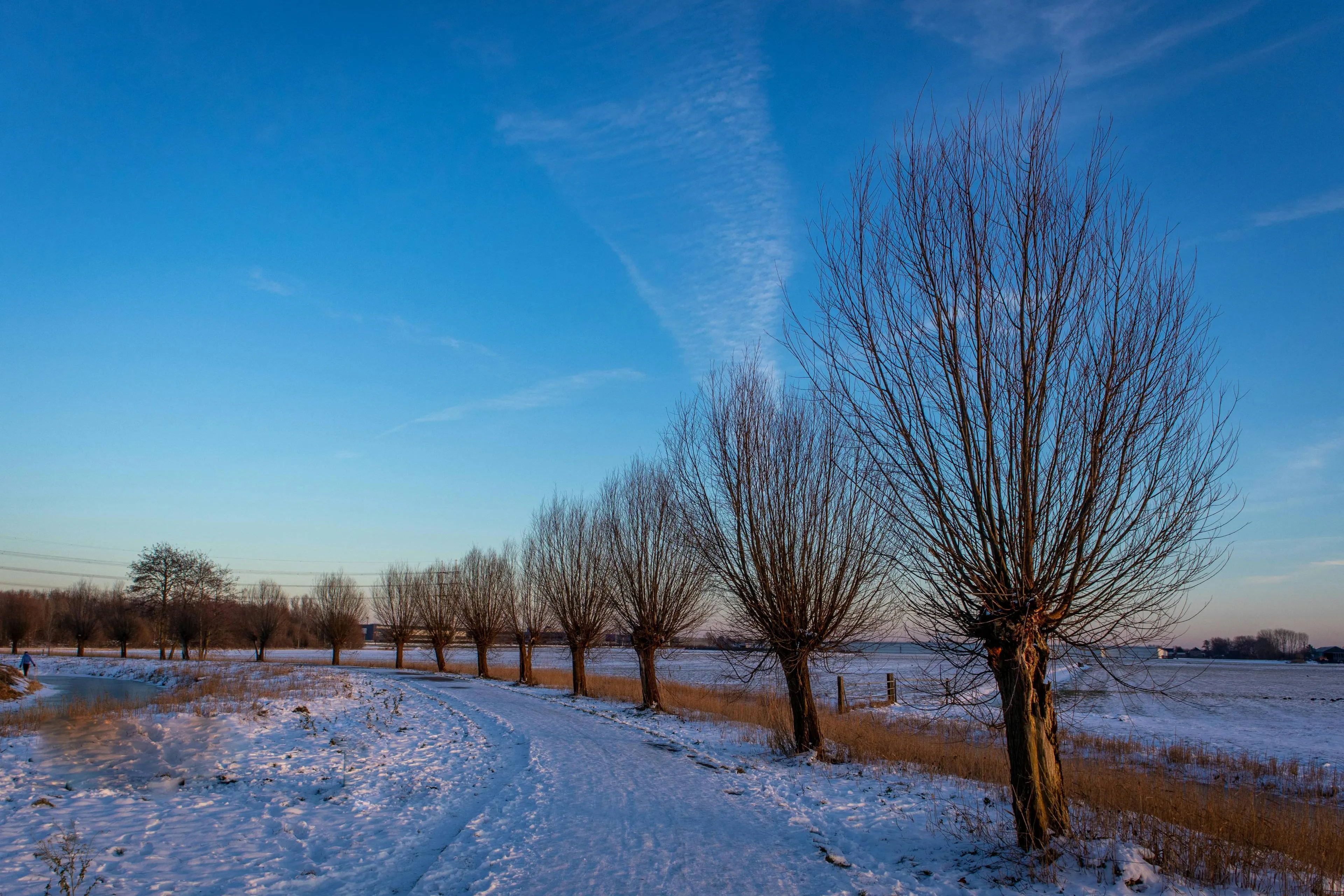 pexels-igor-passchier-111147847-18423568