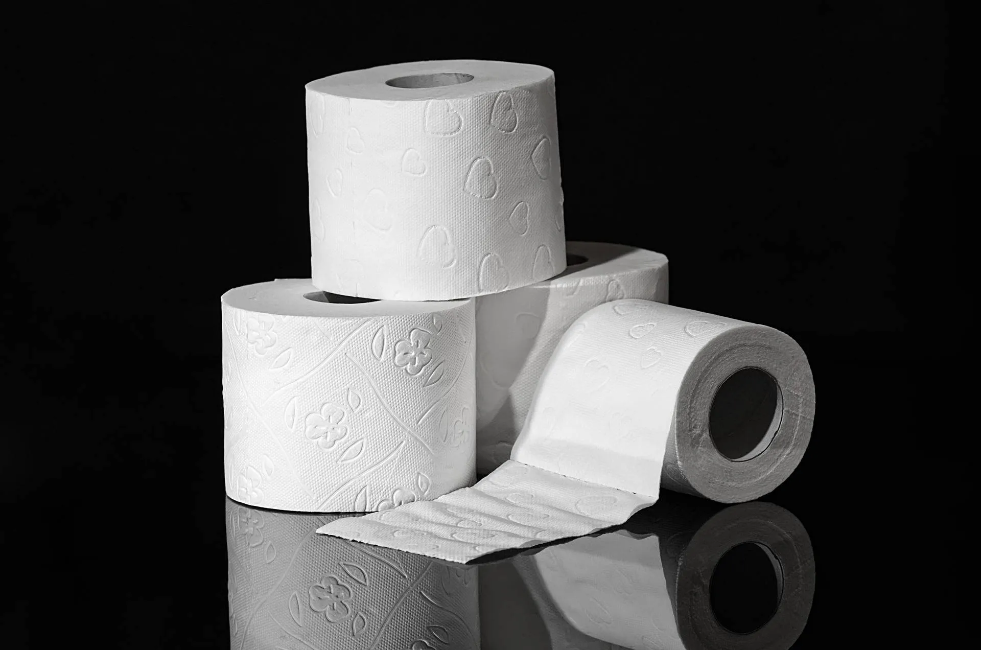 alexas_fotos-toilet-paper-3964492_1920