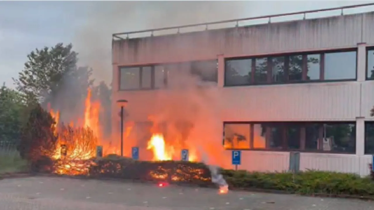Brandje