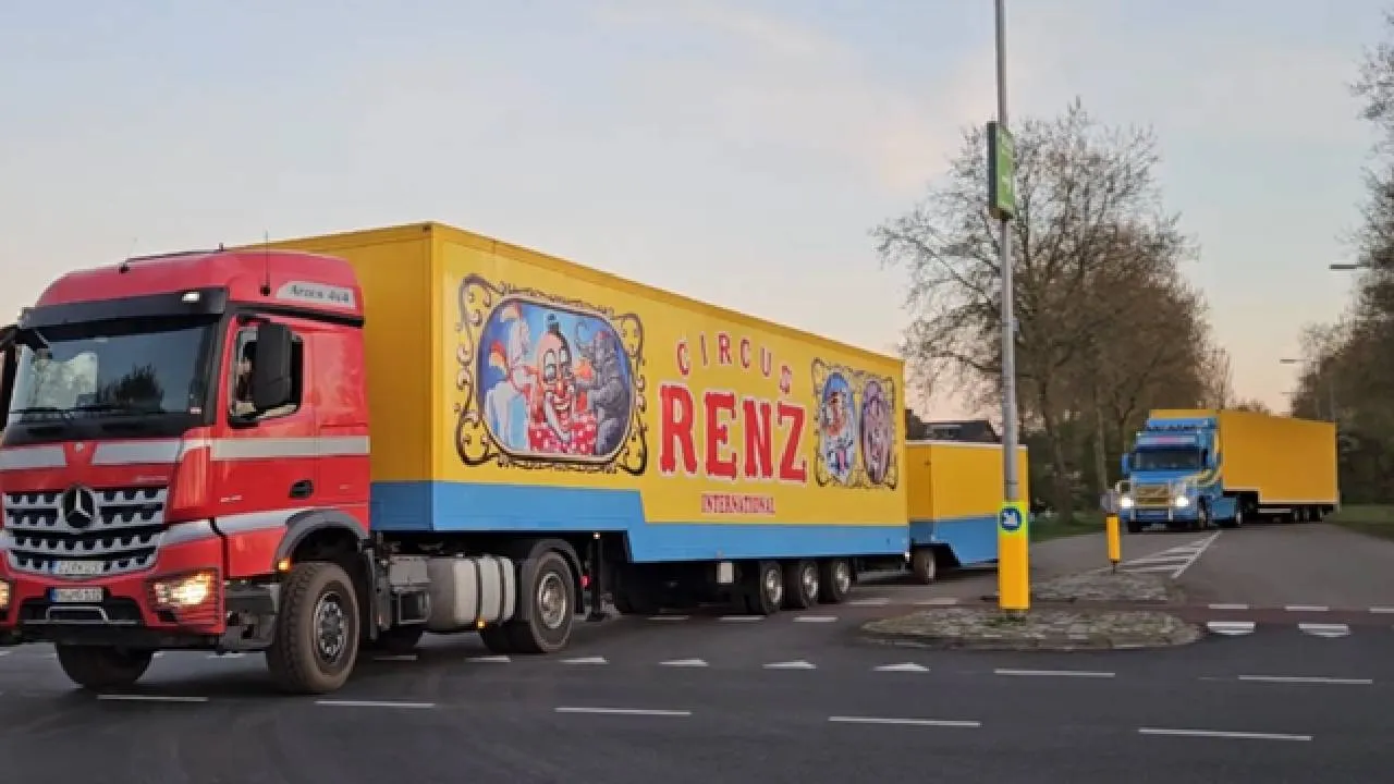 Renz1