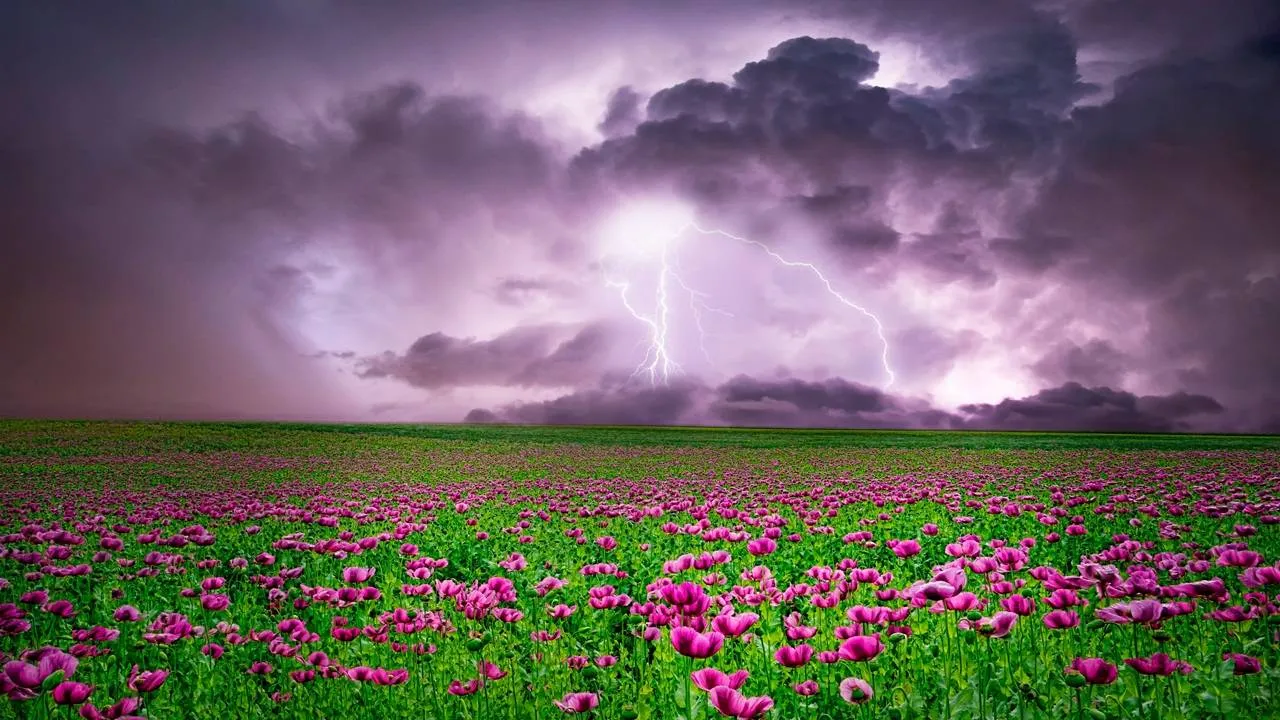 Onweer4534