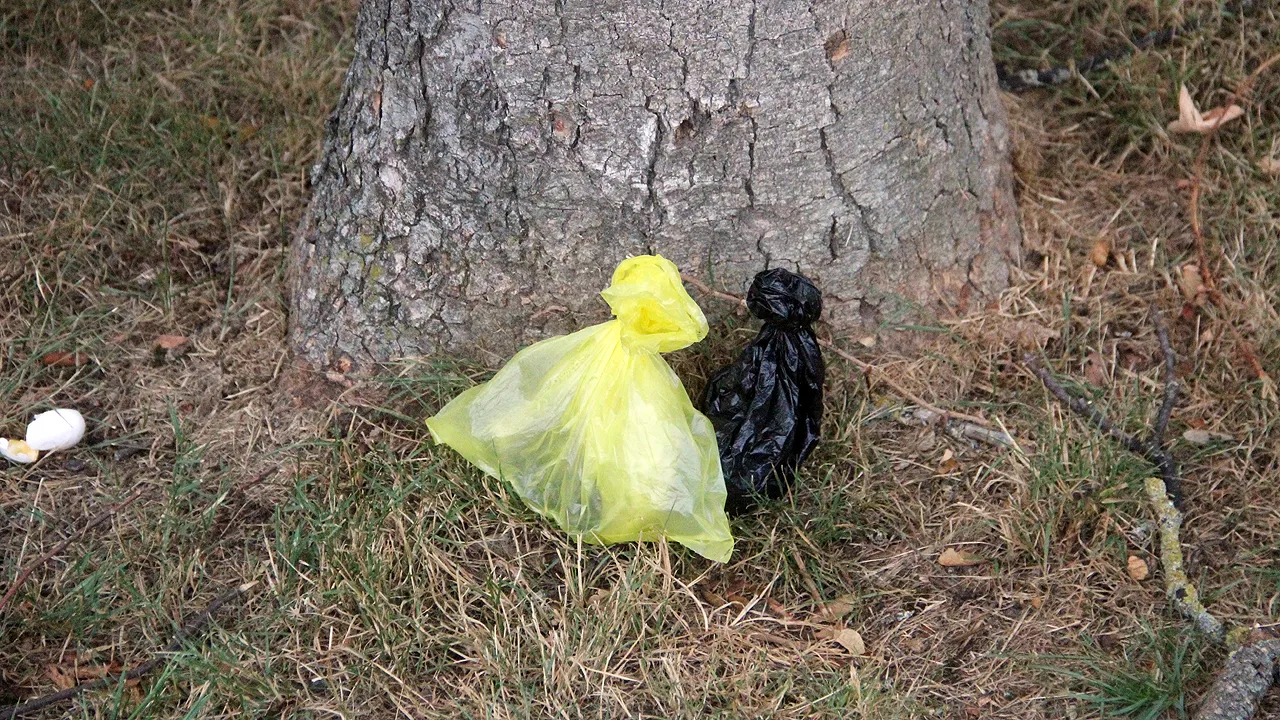 aso laat verpakte hondendrollen slingeren