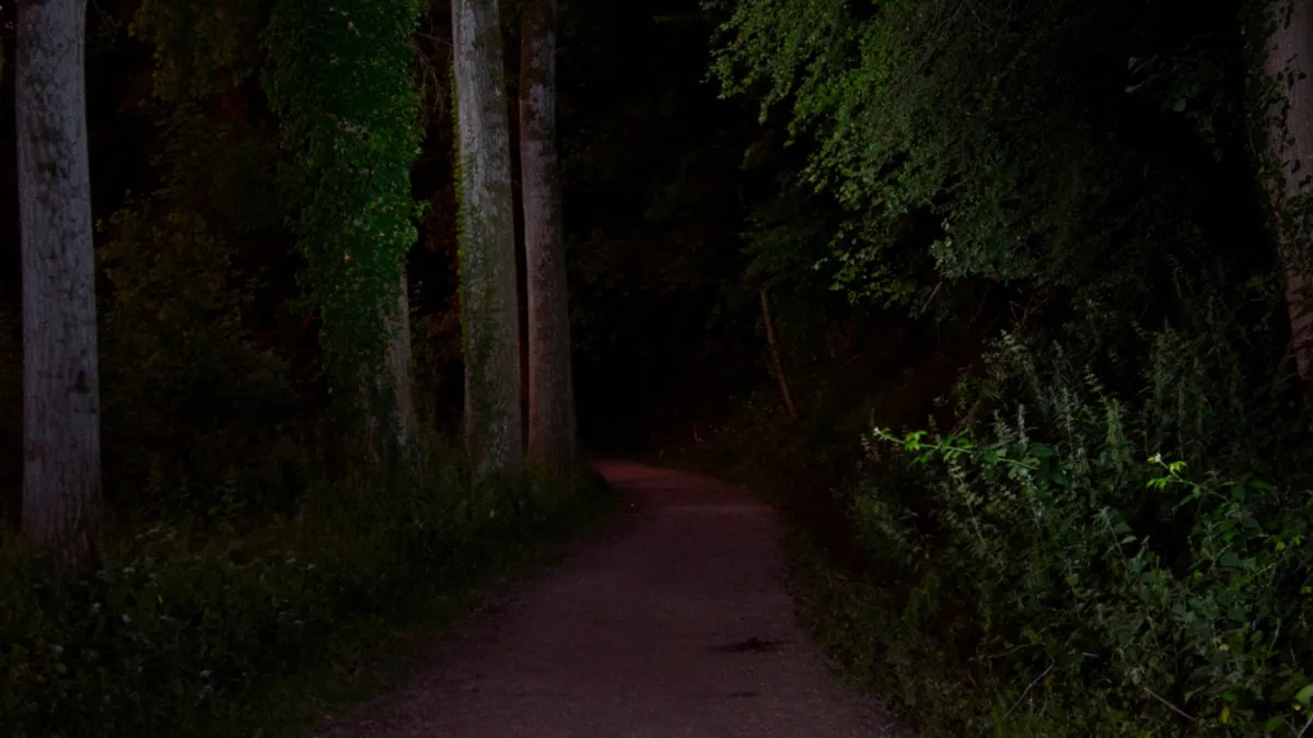 bergse heide nacht hli 2027