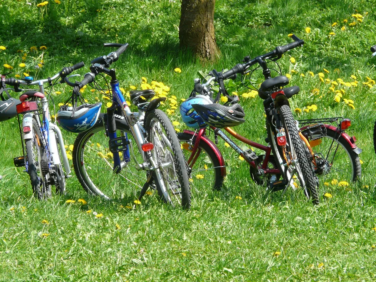 bicycles 6895 1280 fietsen