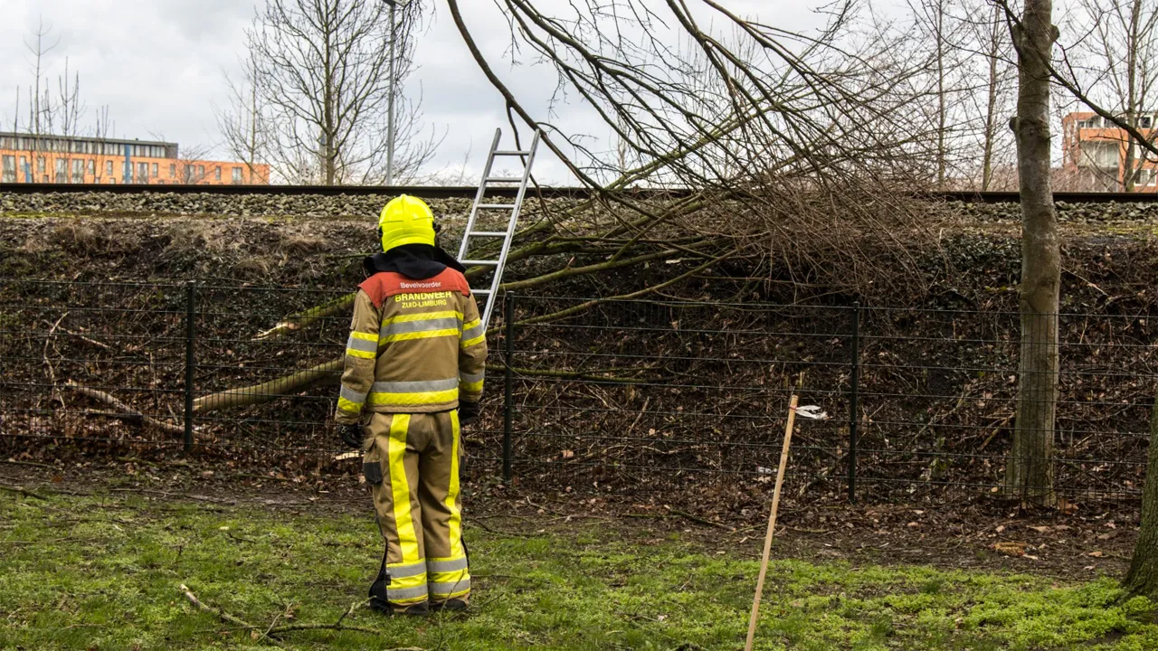 bjorn de hoog stormschade