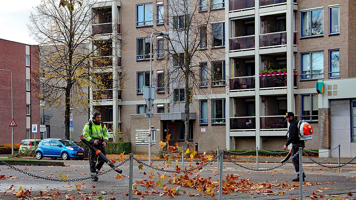 bladblazen herfst sittard geleen